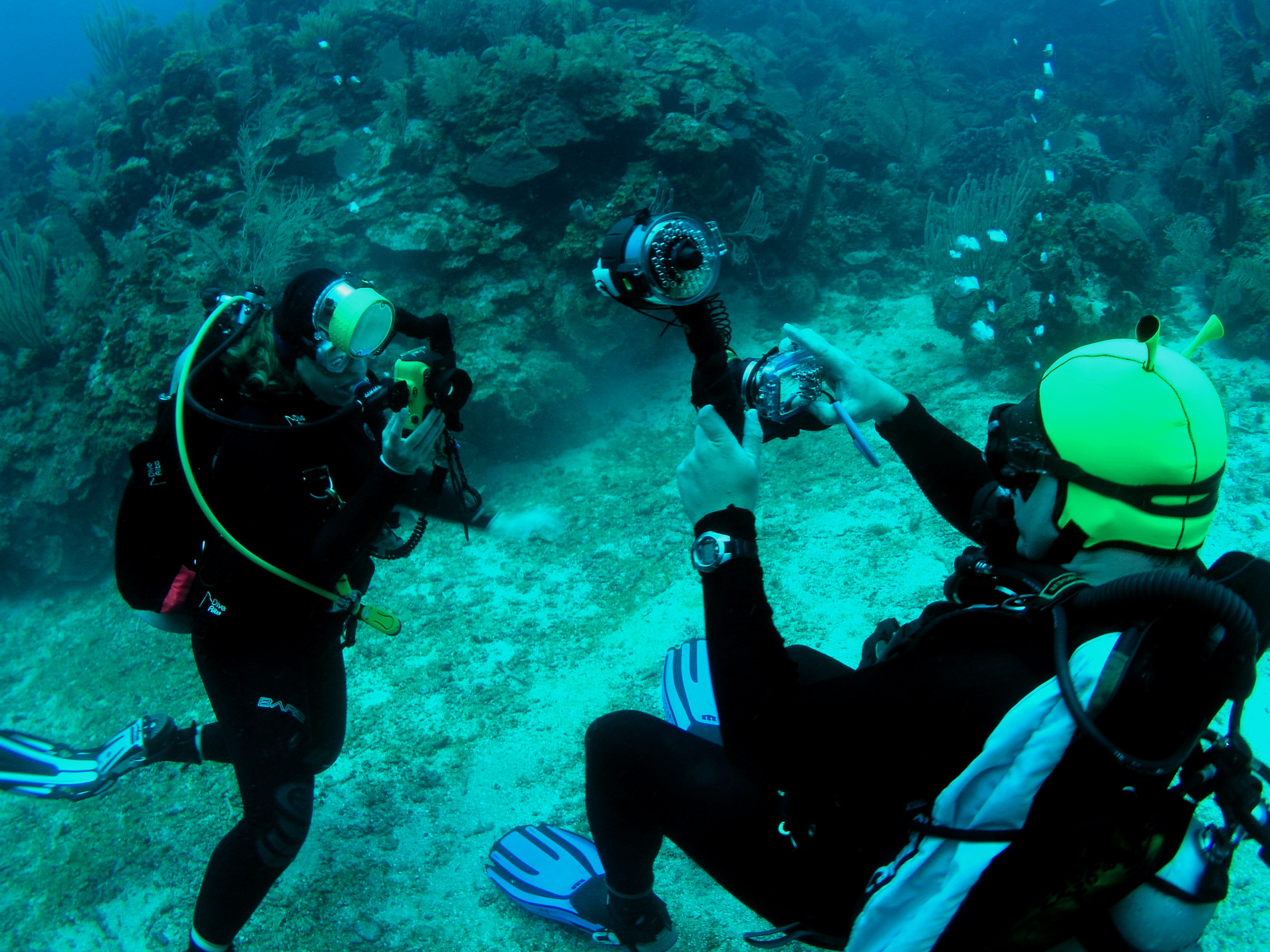 Roatan 2005 reupload