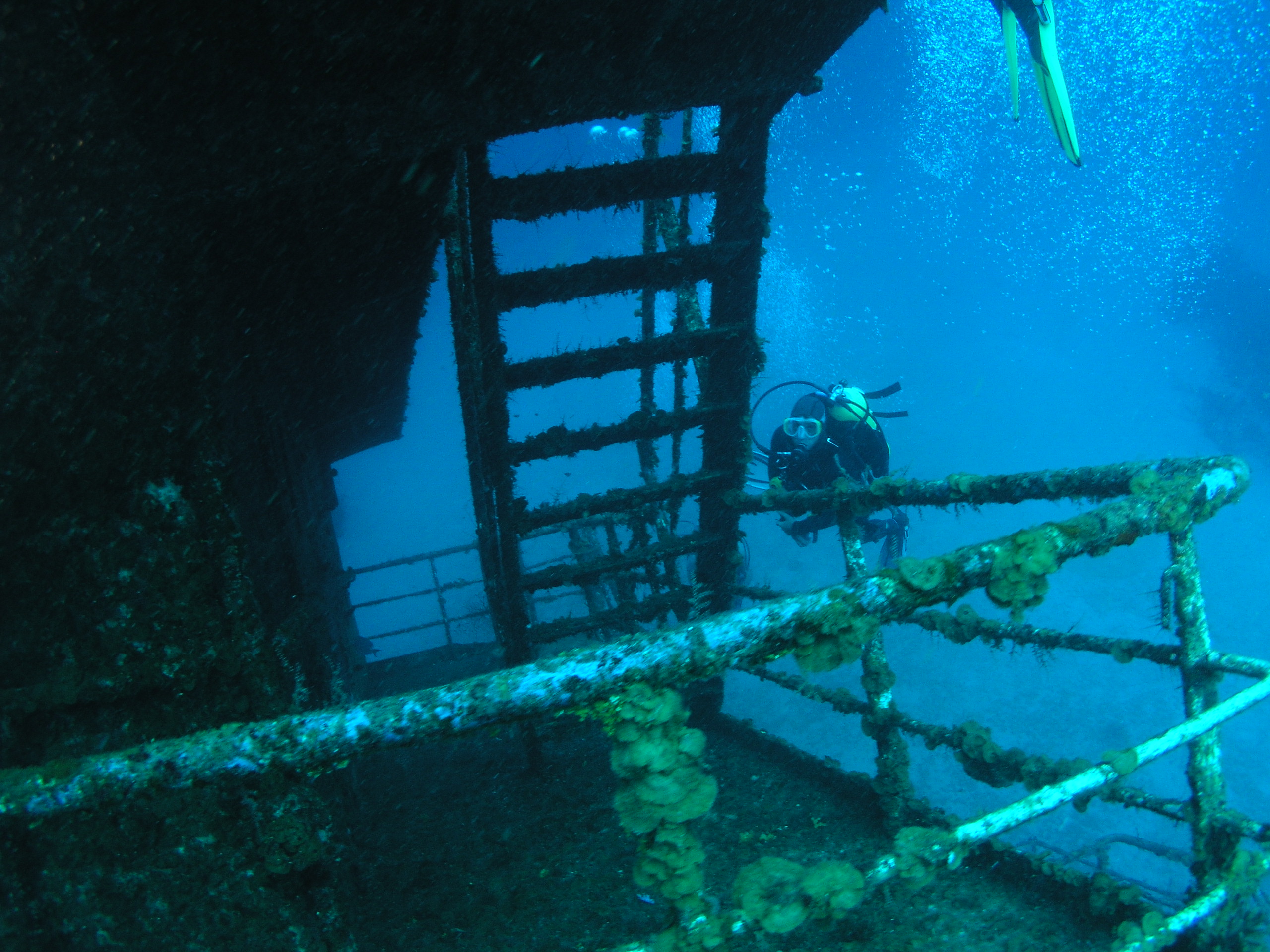 Roatan 2005 reupload