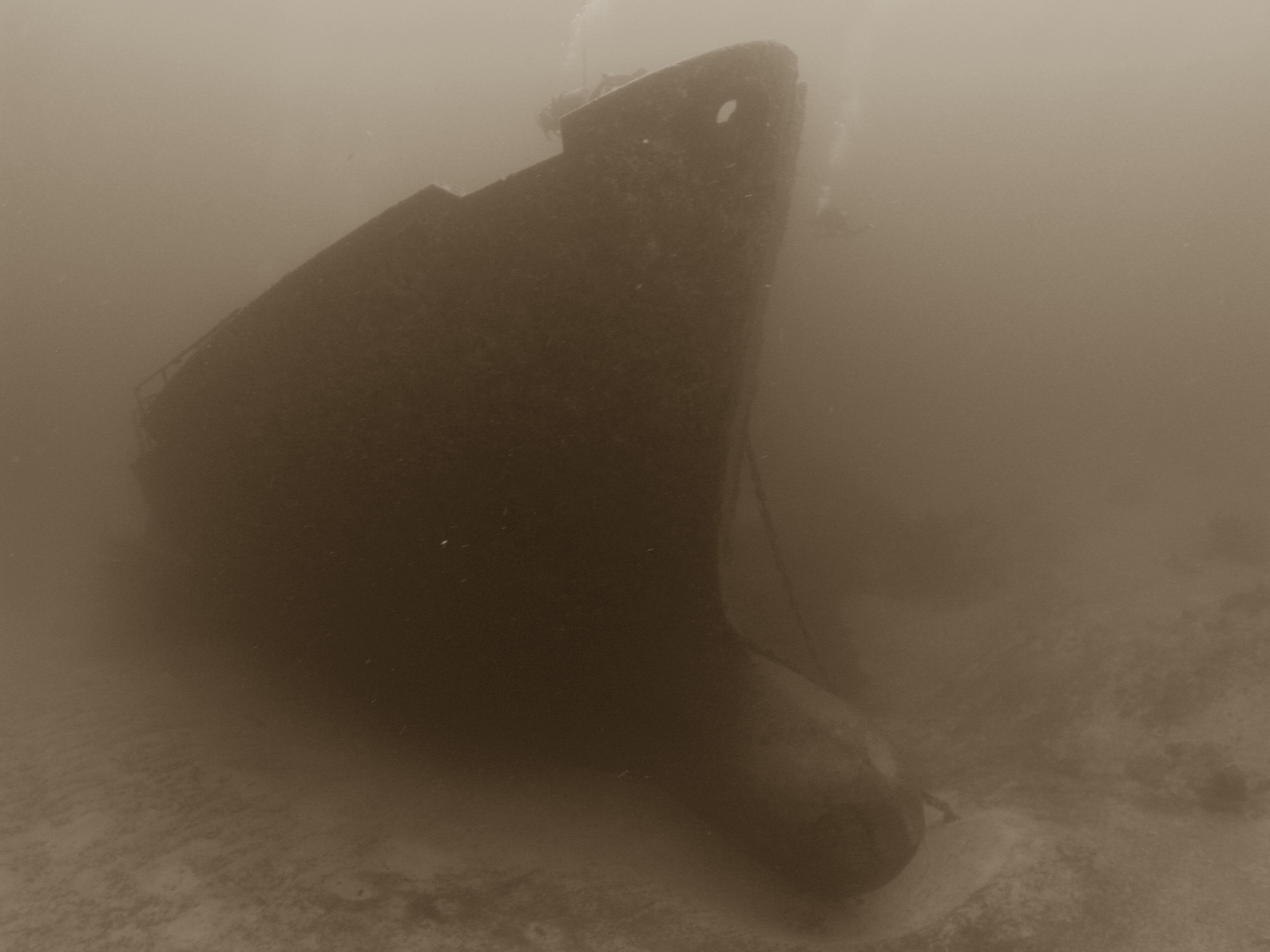 Roatan 2005 reupload