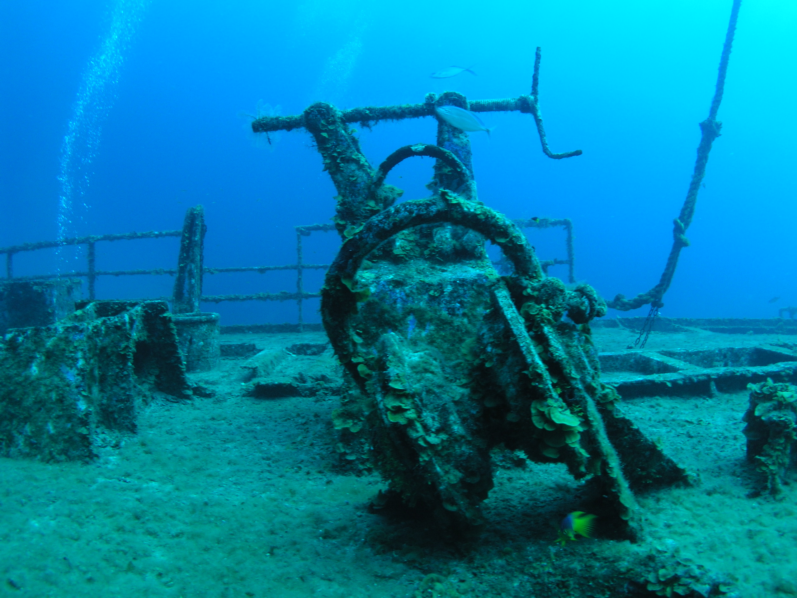 Roatan 2005 reupload