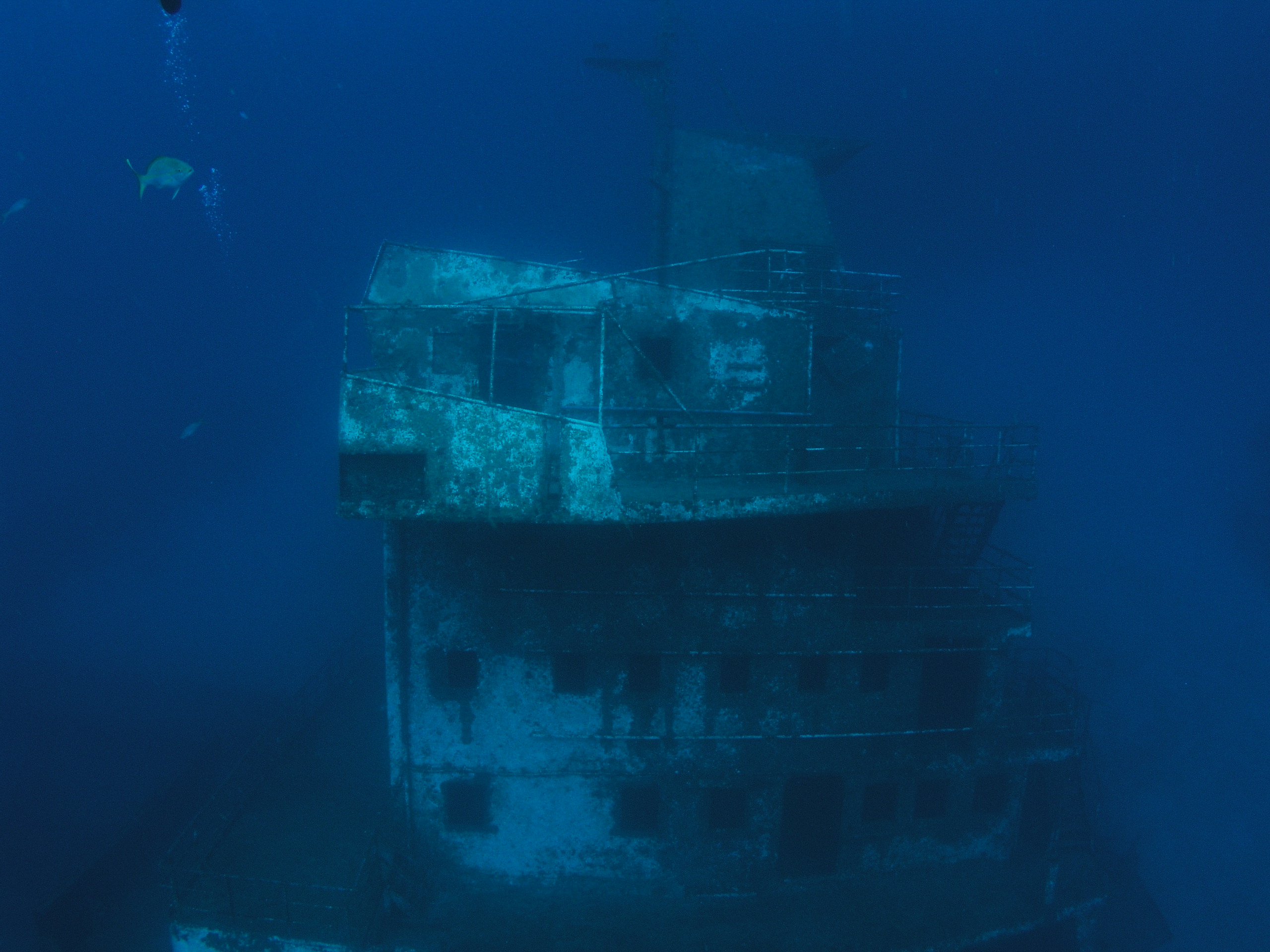 Roatan 2005 reupload