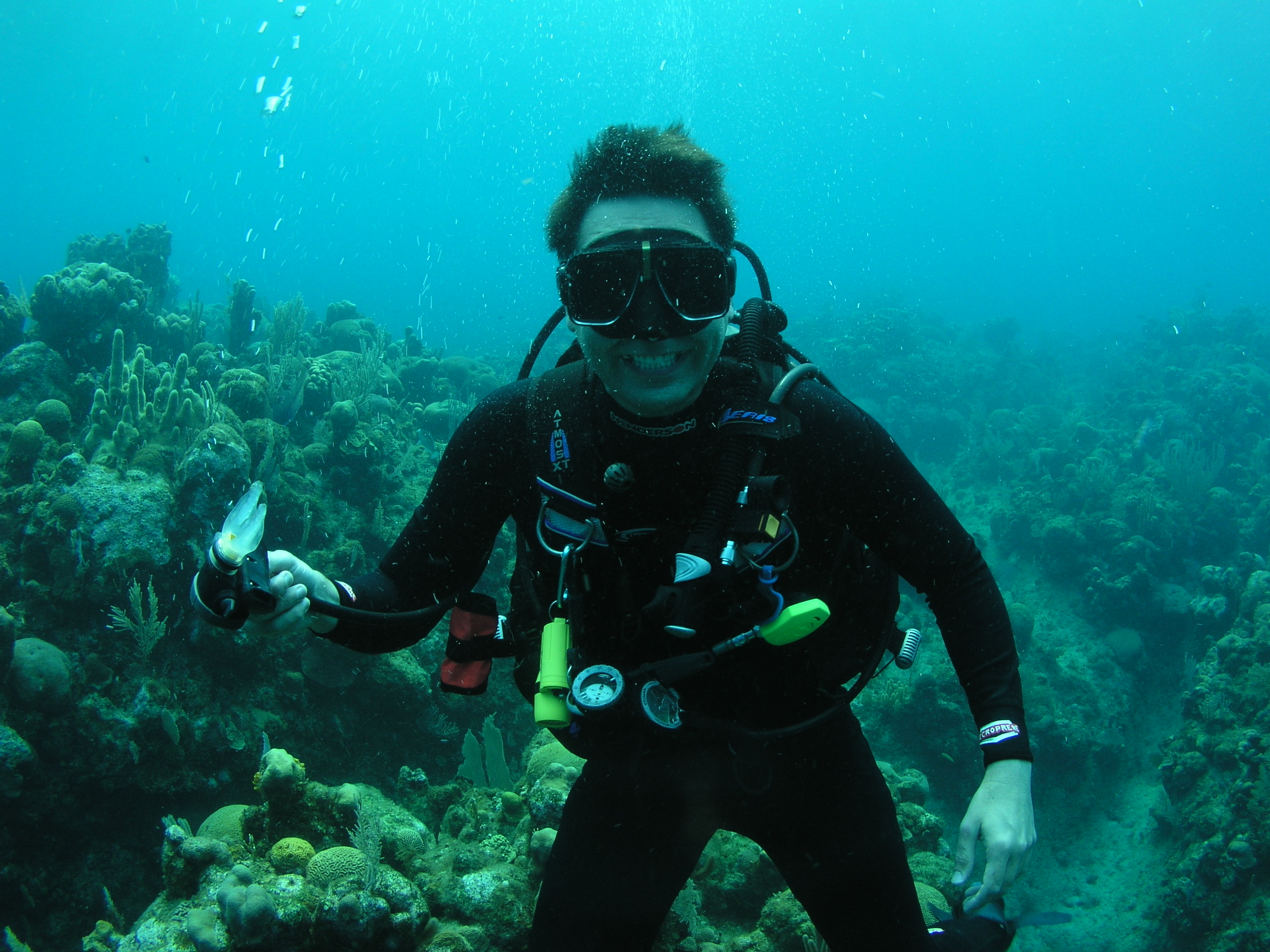 Roatan 2005 reupload