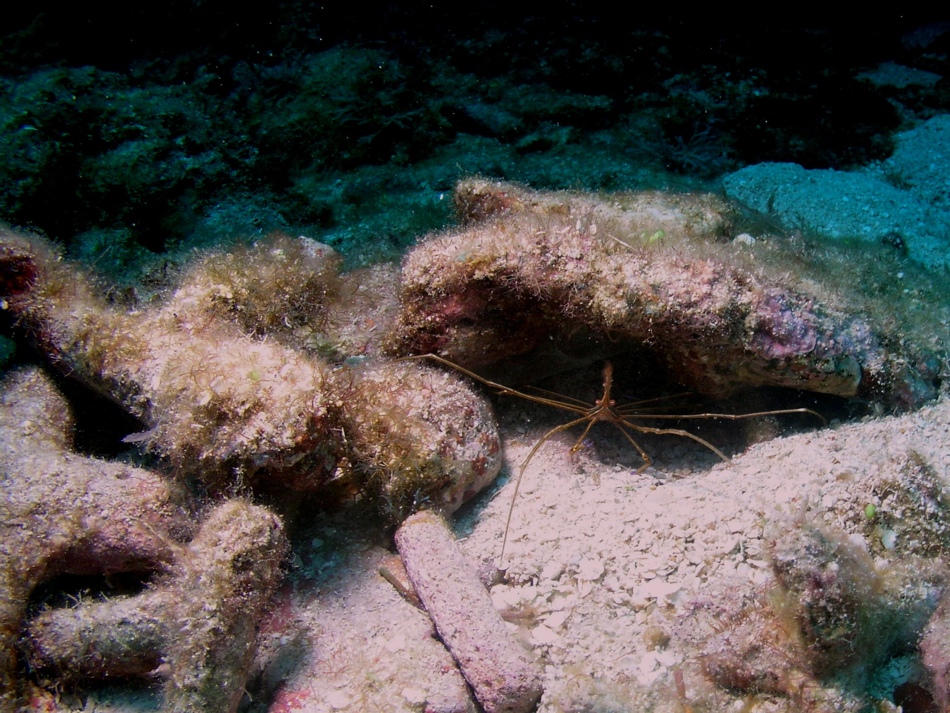 Roatan 2005 reupload