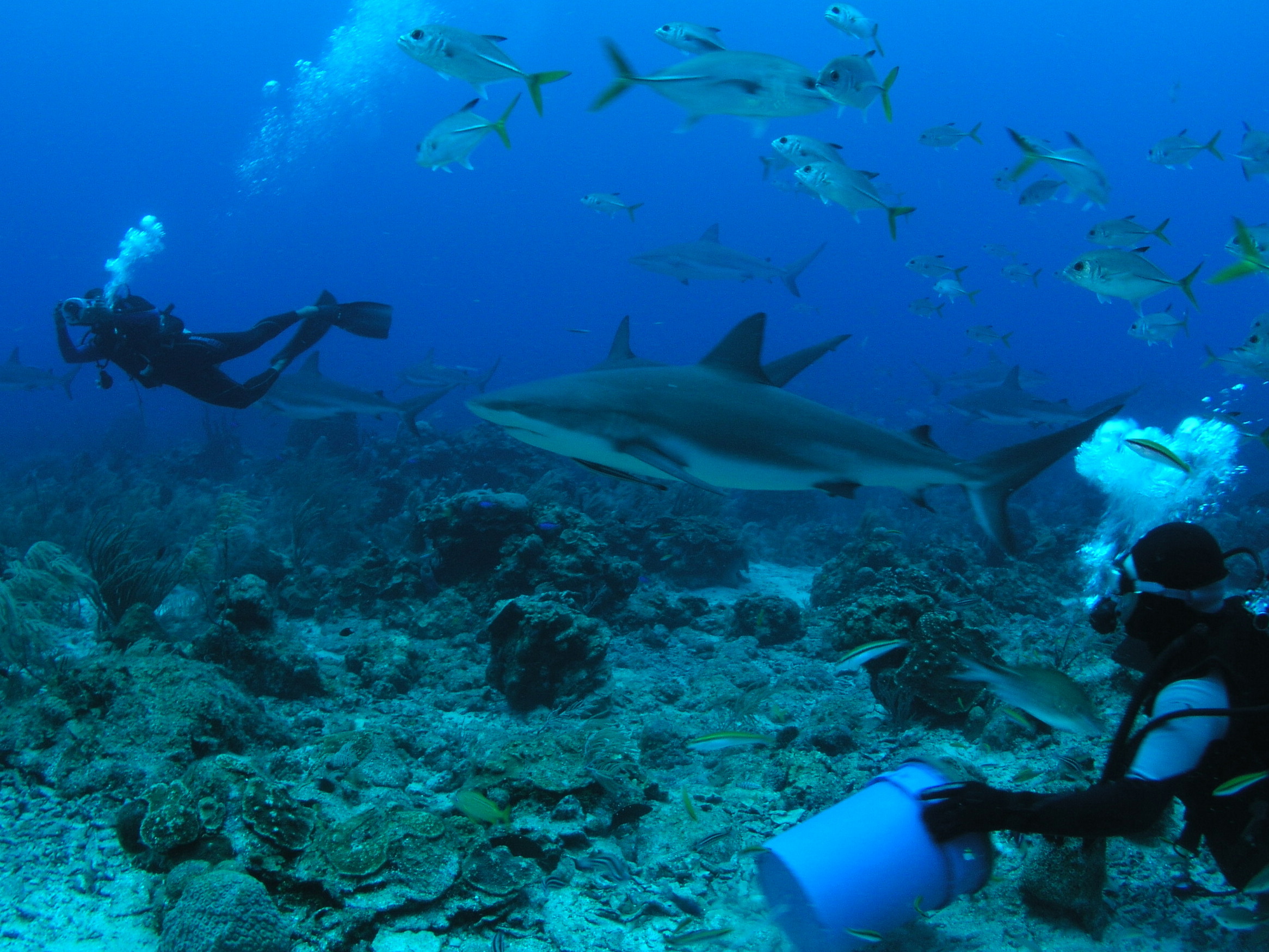 Roatan 2005 reupload