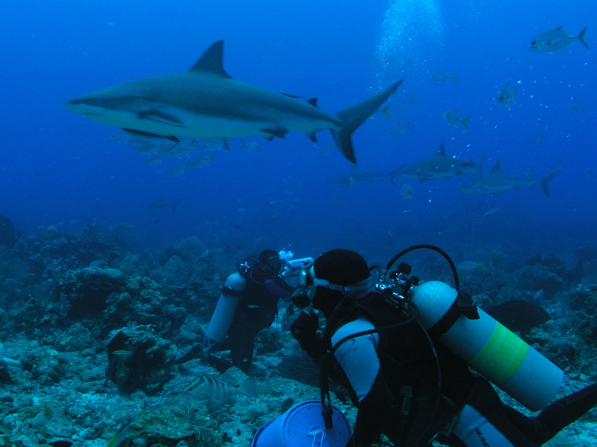 Roatan 2005 reupload