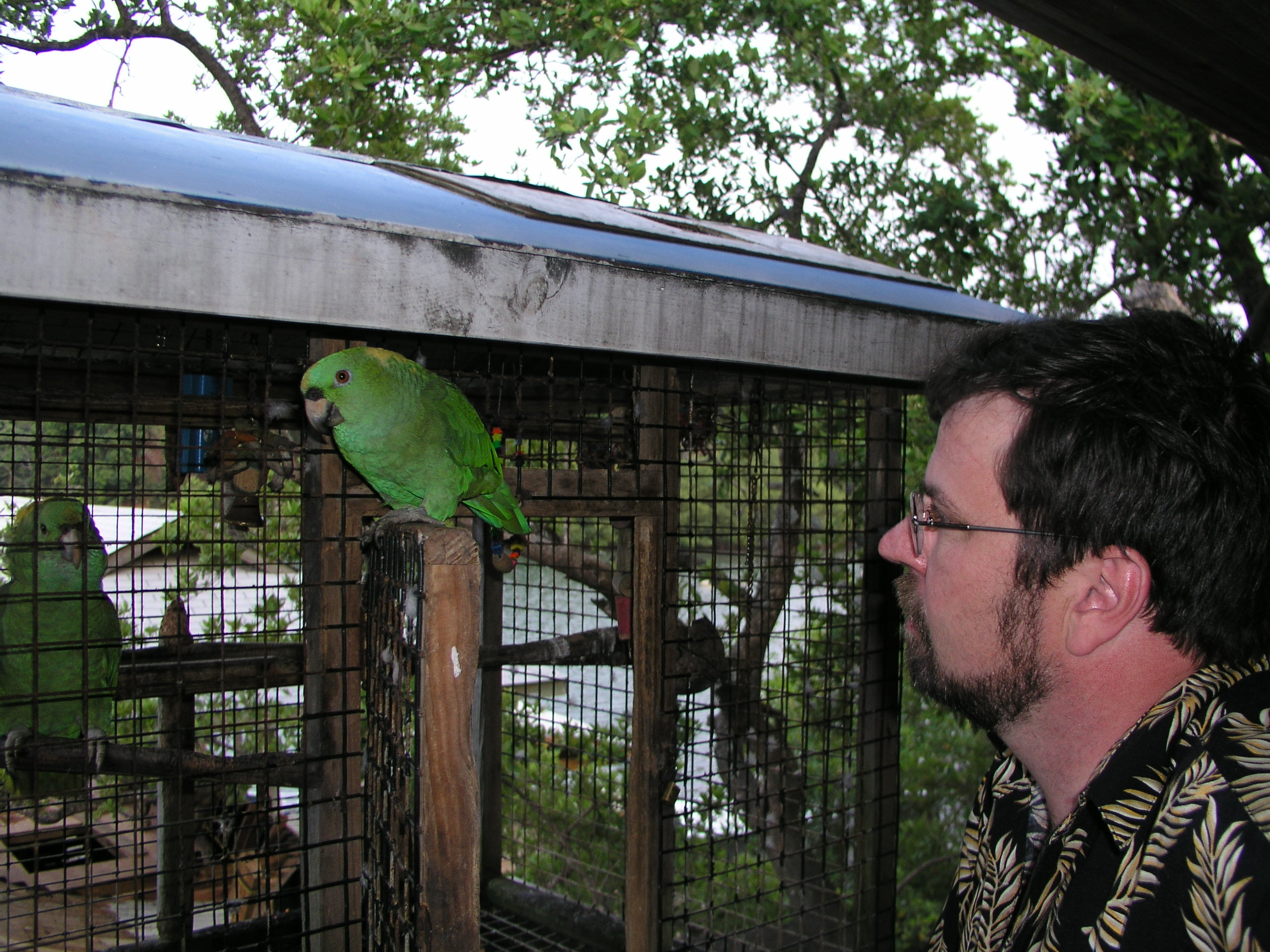 Roatan 2005 reupload