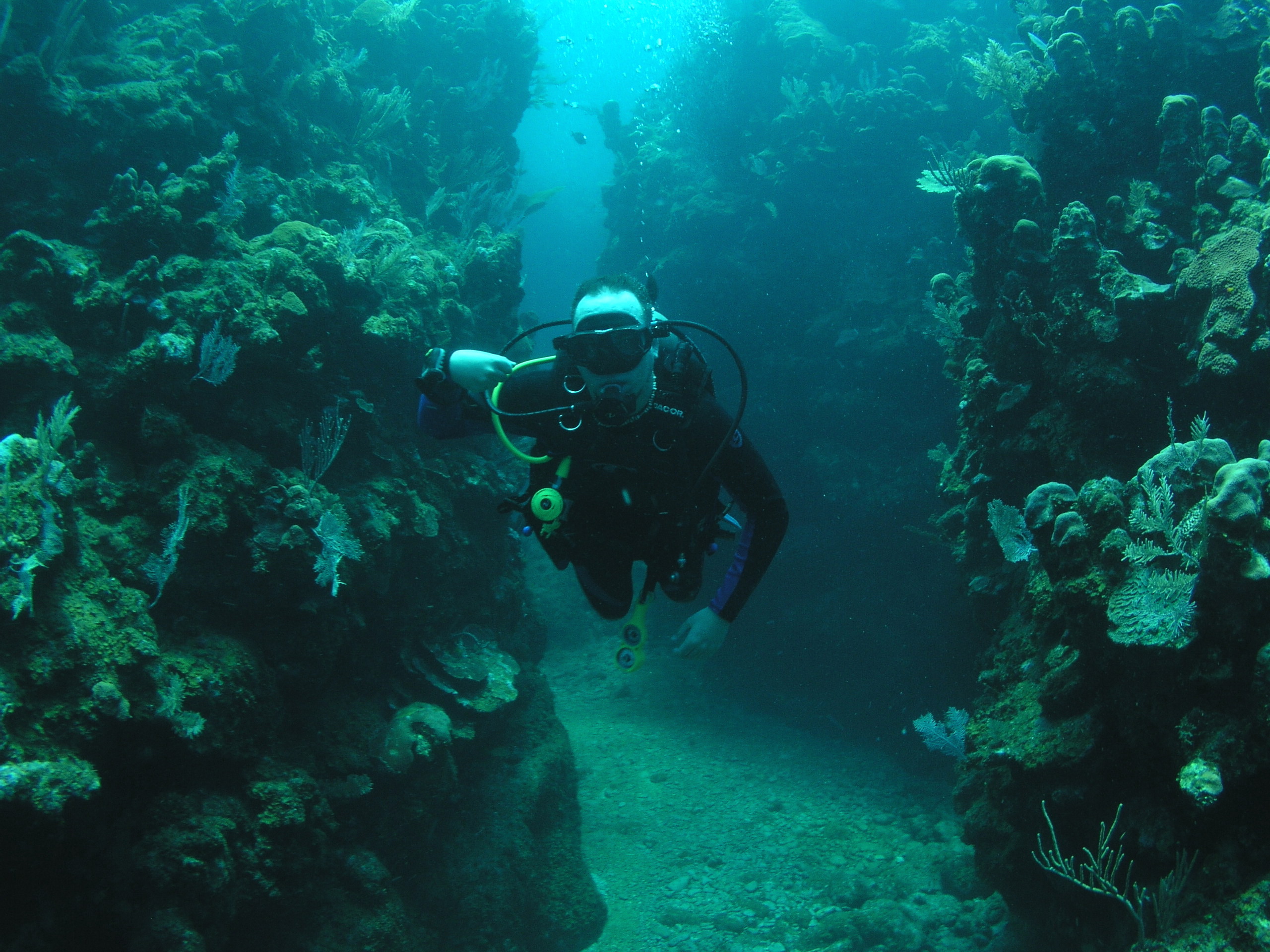 Roatan 2005 reupload