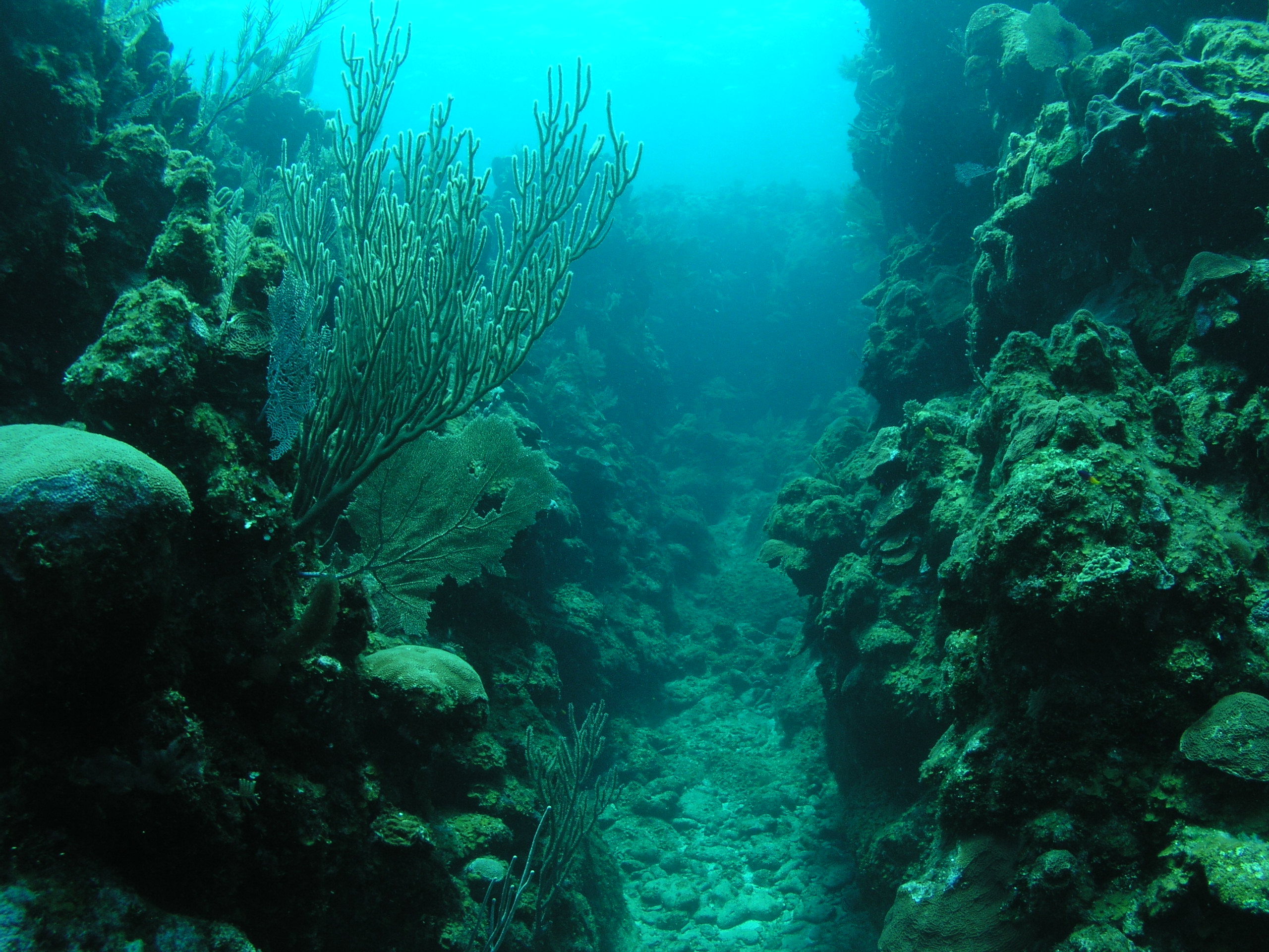 Roatan 2005 reupload