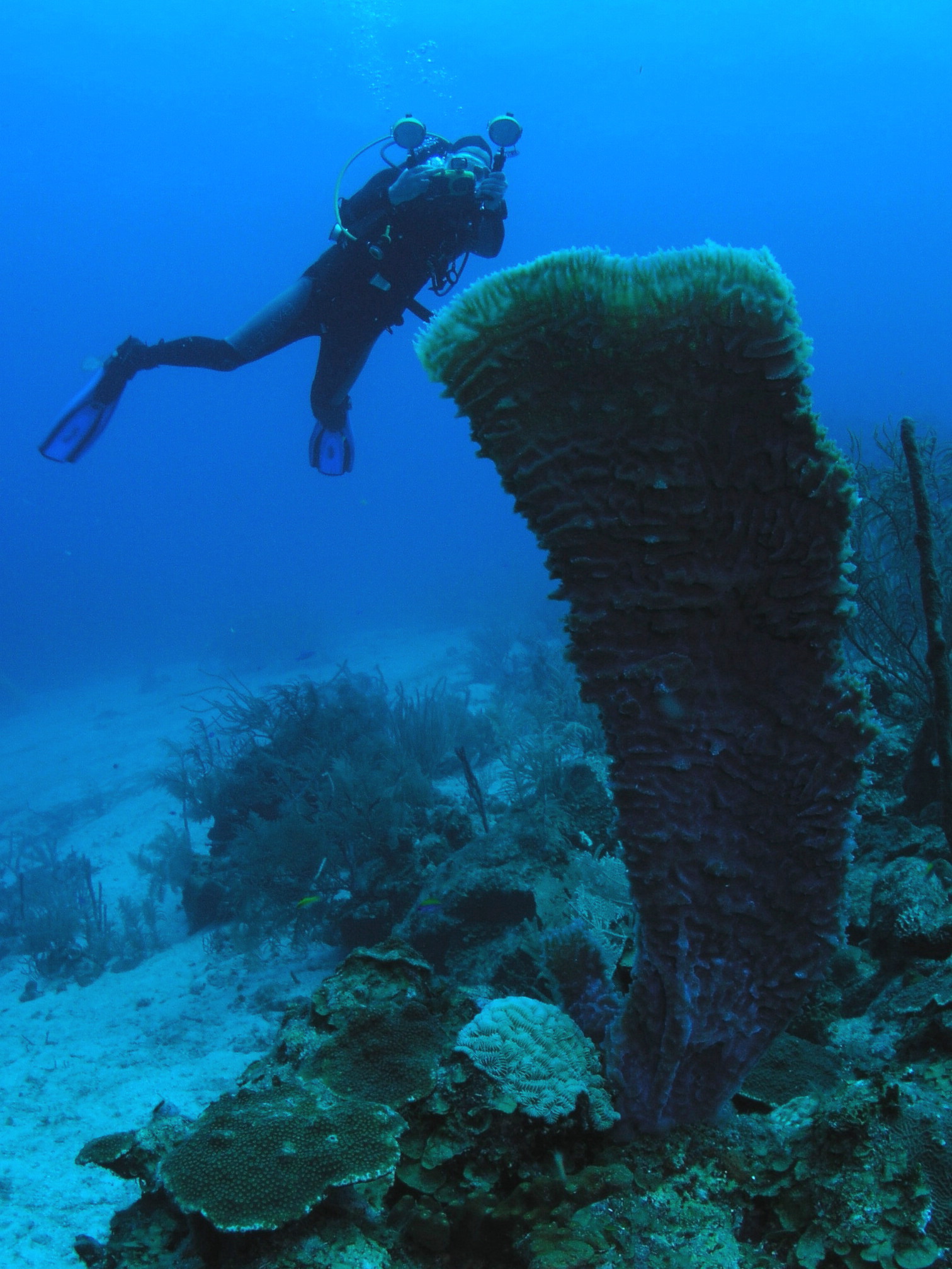 Roatan 2005 reupload