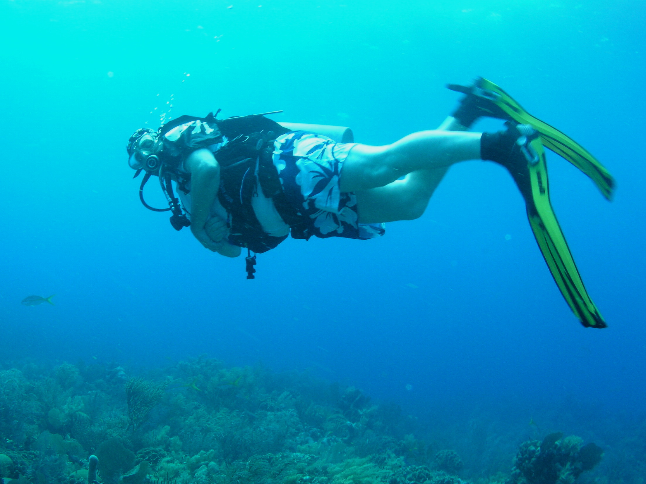 Roatan 2005 reupload