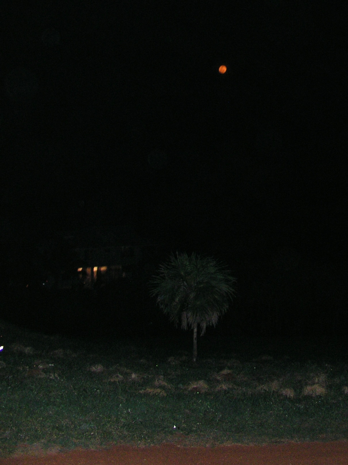 Roatan 2005 reupload