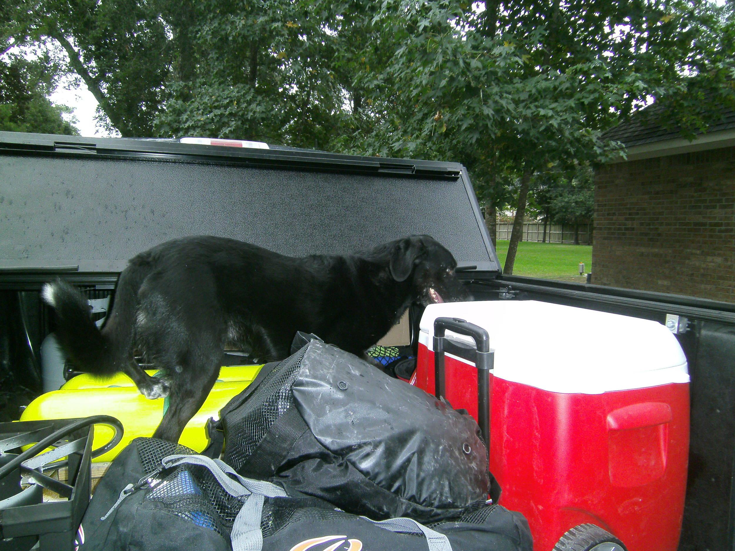 Sam getting tired of waiting for the chill!!