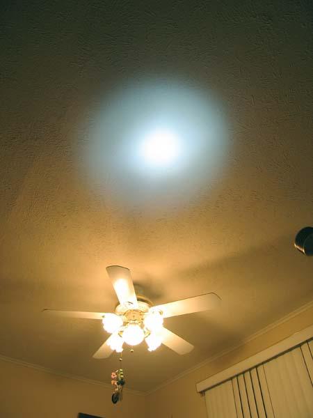 Sassy and the Hammock