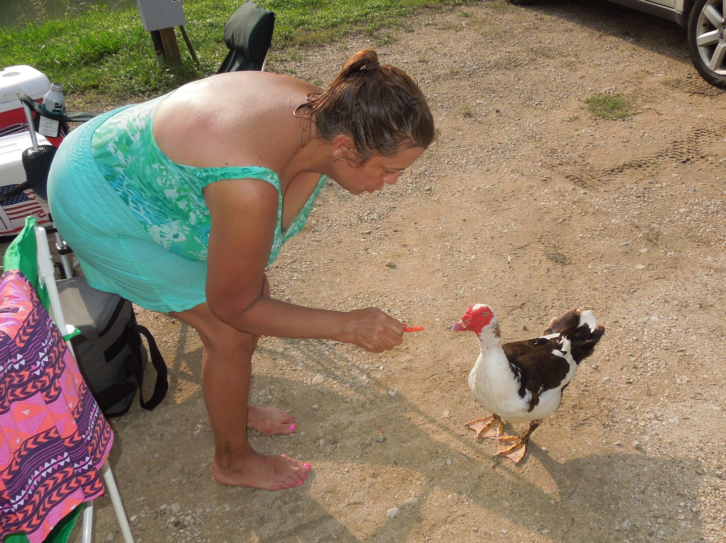 scubagirl feeding the locals