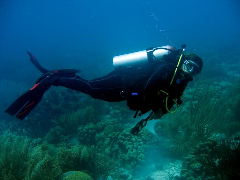 Scubagirl Underwater