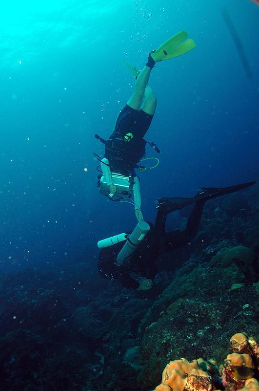 Sea Dragon makes her move