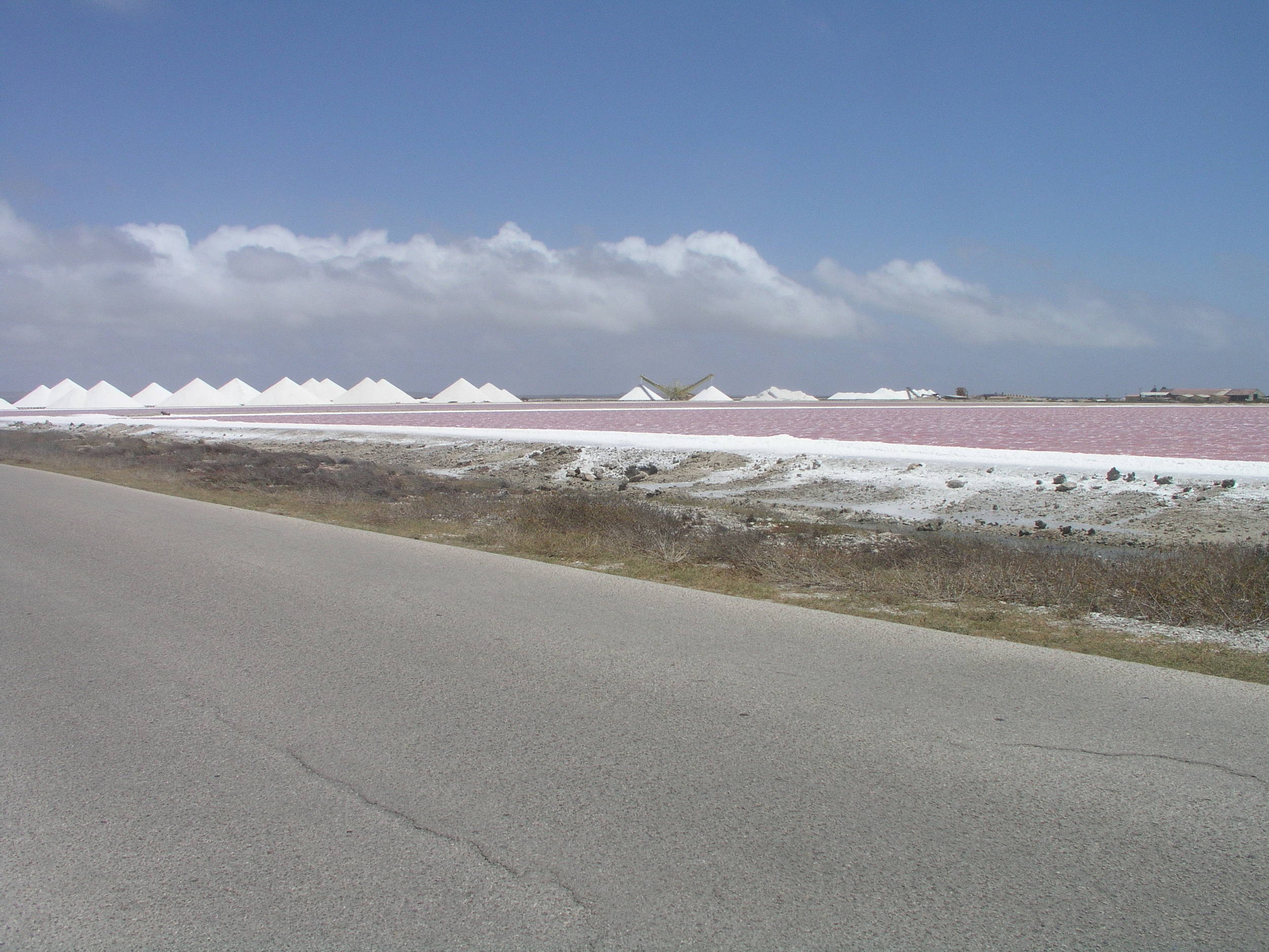 Sea salt ready for export