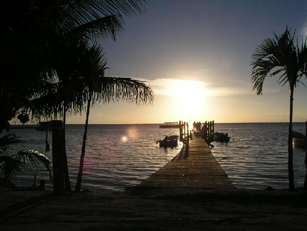 Searching out wild life