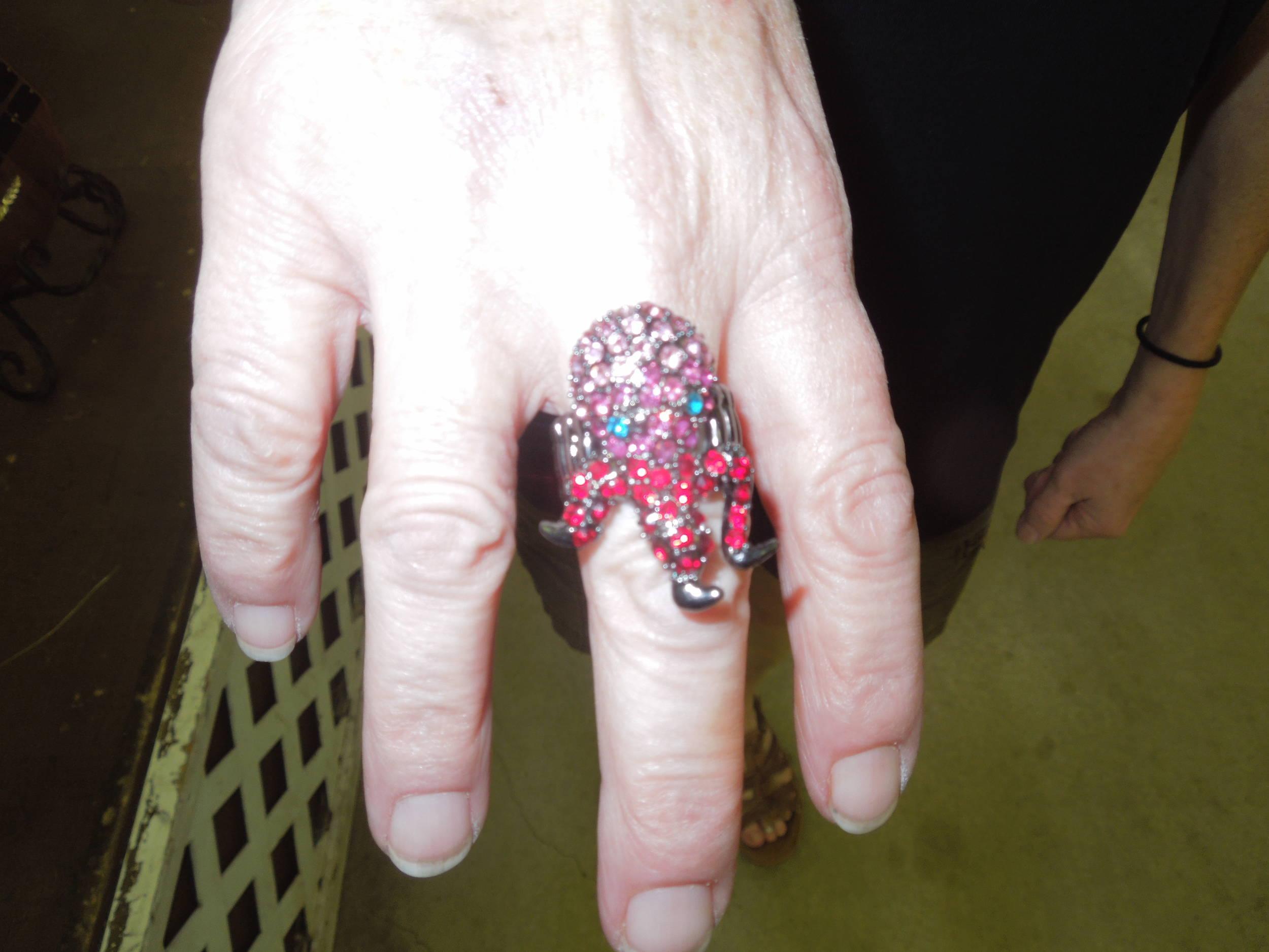 Sharksnak's new ring