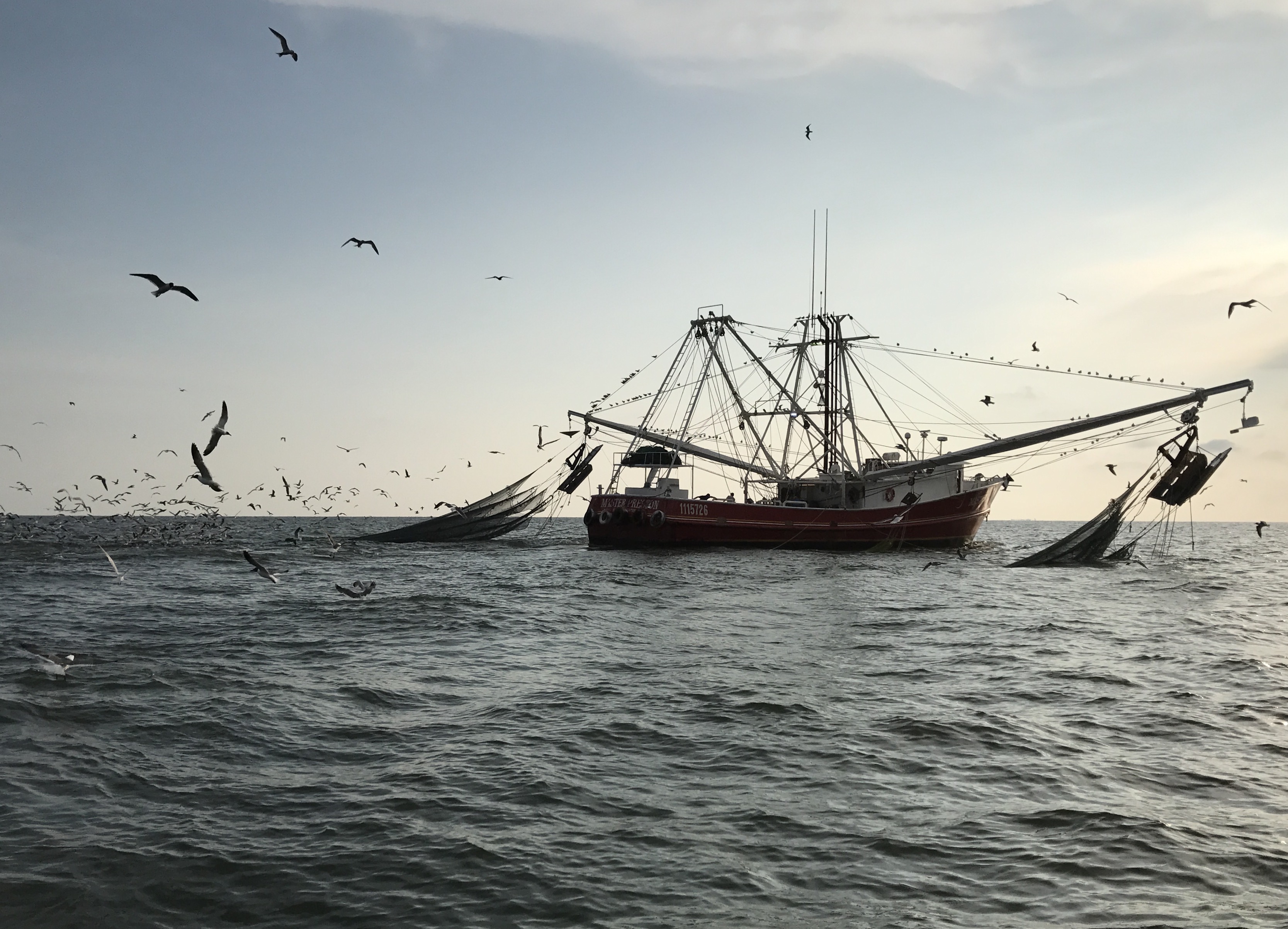 shrimper