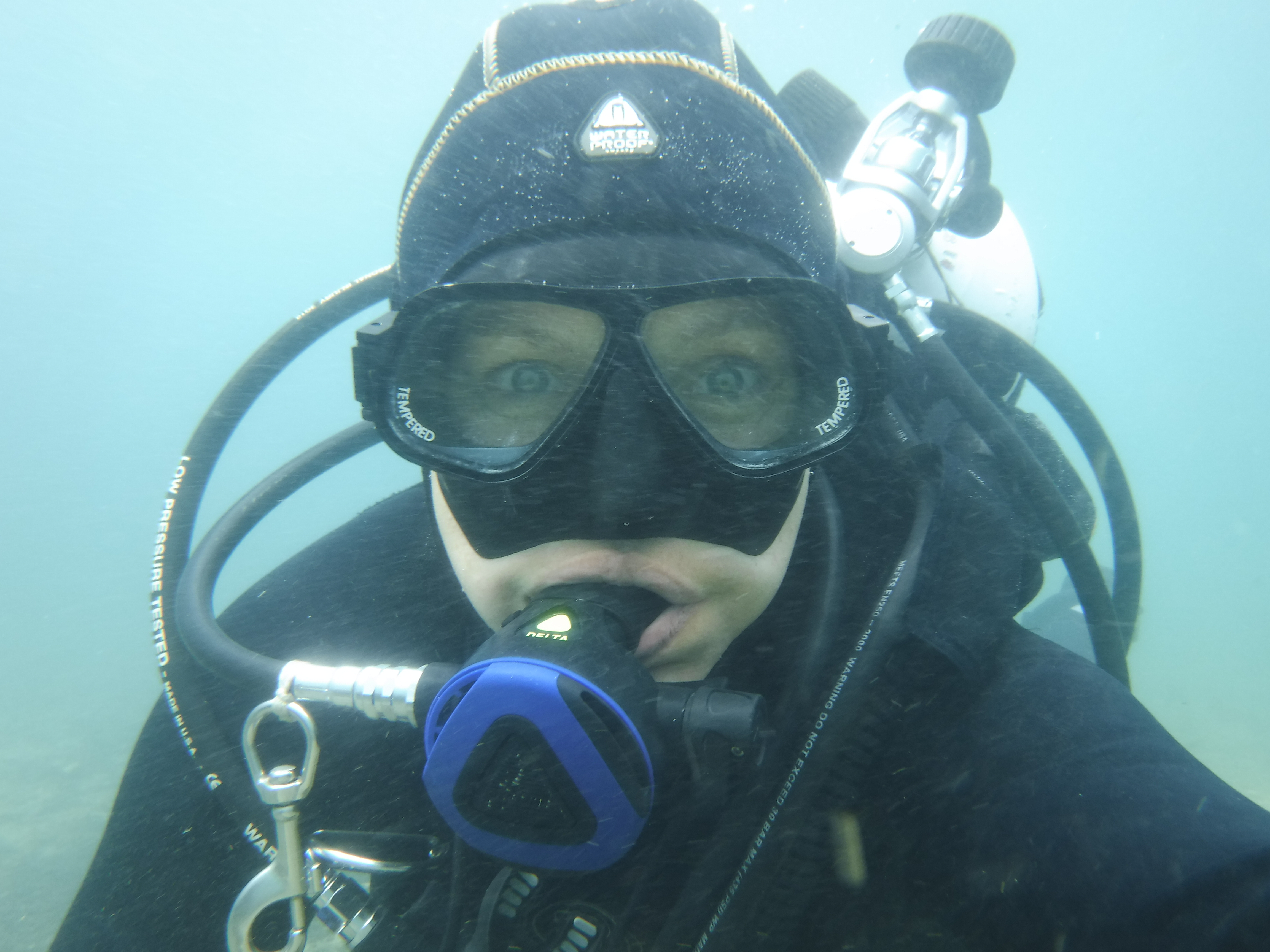 Siren Selfie - MAR Comal