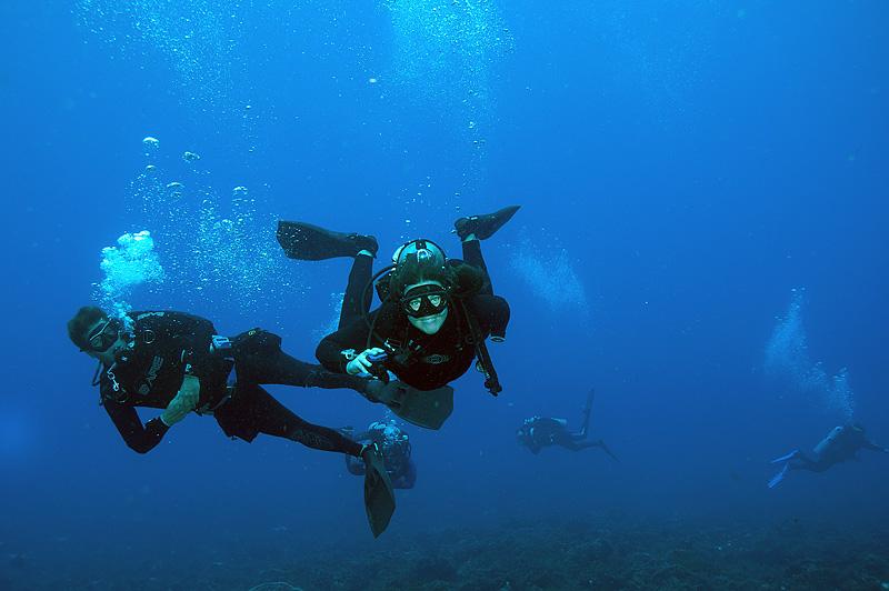 Siren's first Ocean Dives