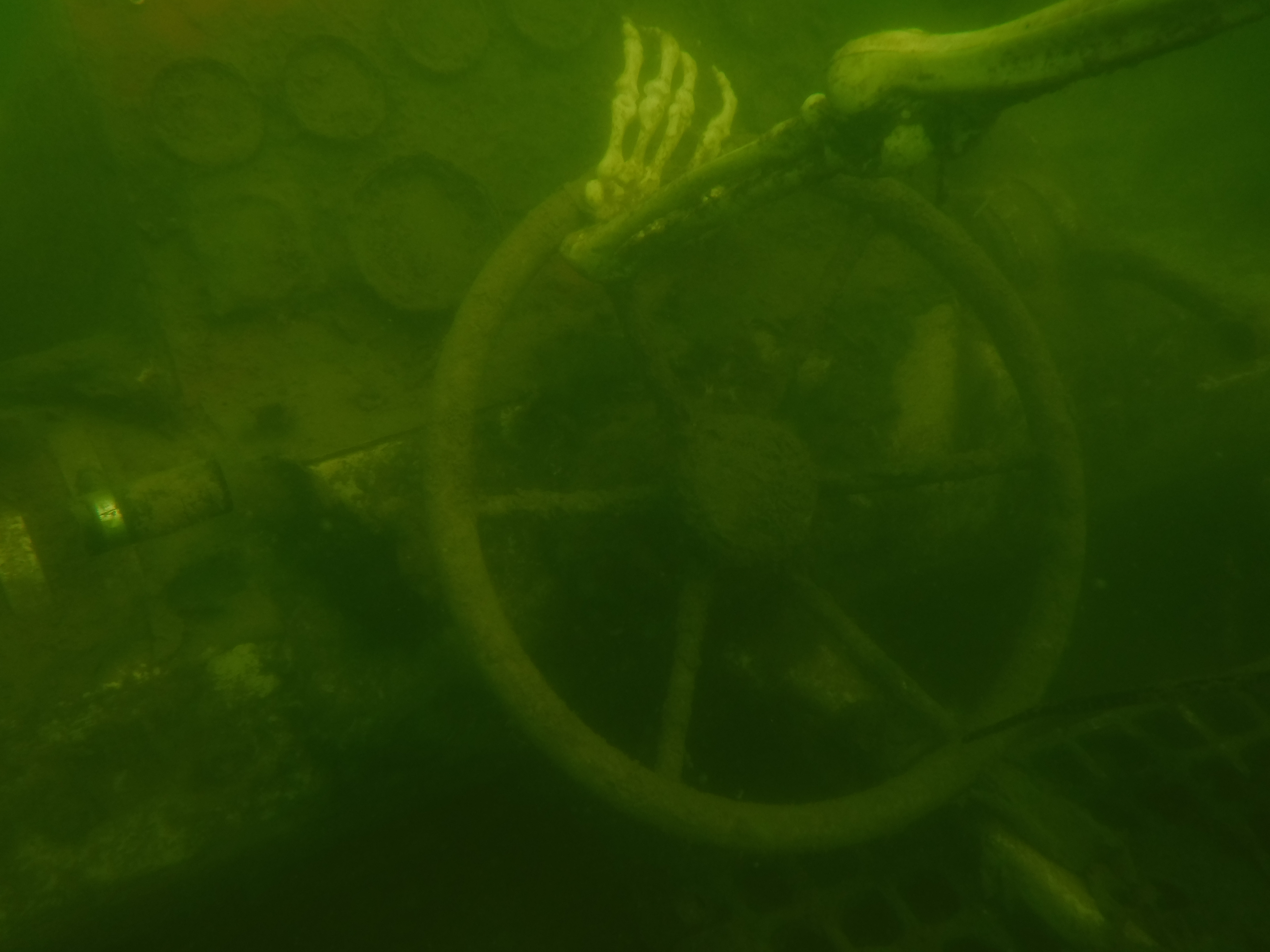 Skeleton Driving - April Lake Longhorn