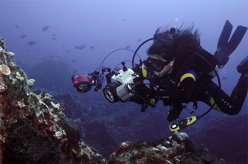 Smash Doin' her thing