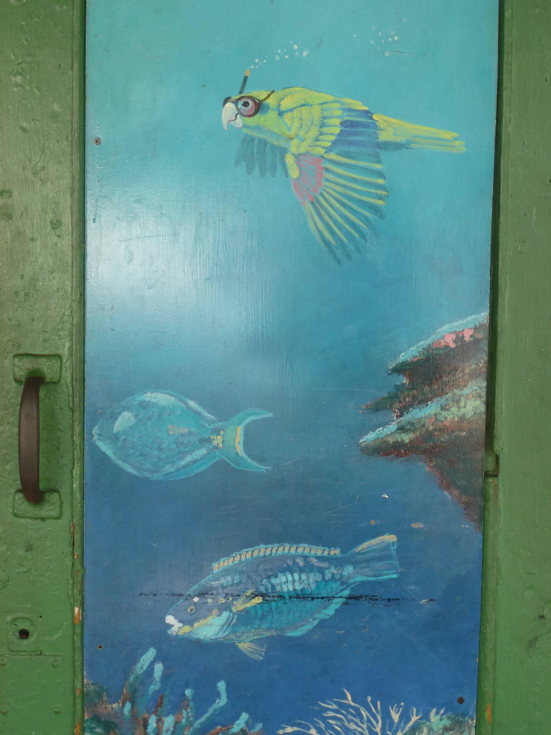 Snorkling/Diving Parrot