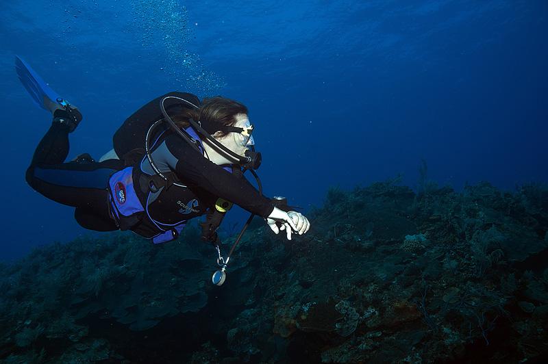 Spanky on Maracaibo Shallow