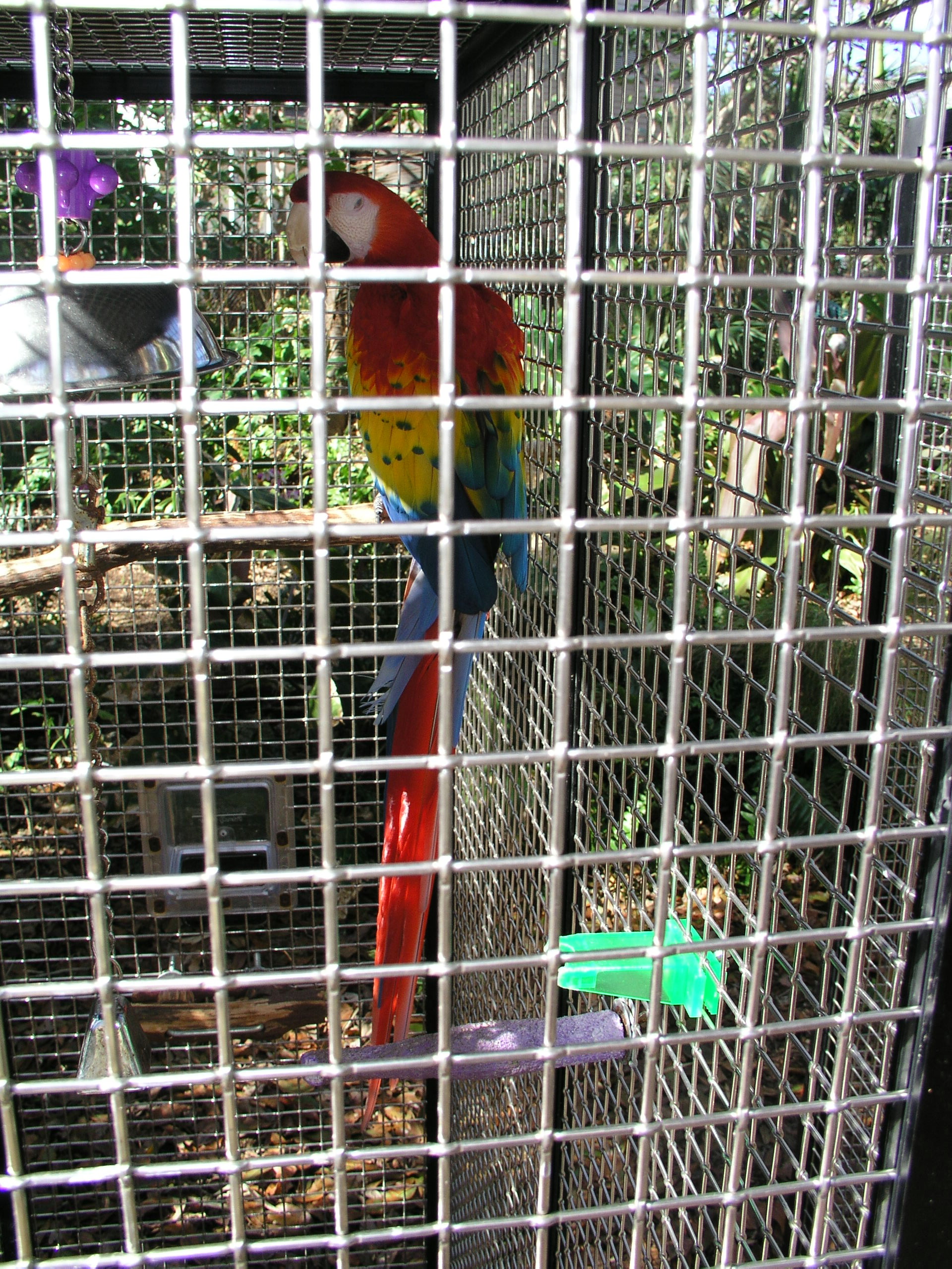 Spiegel Groovy 2005 reupload