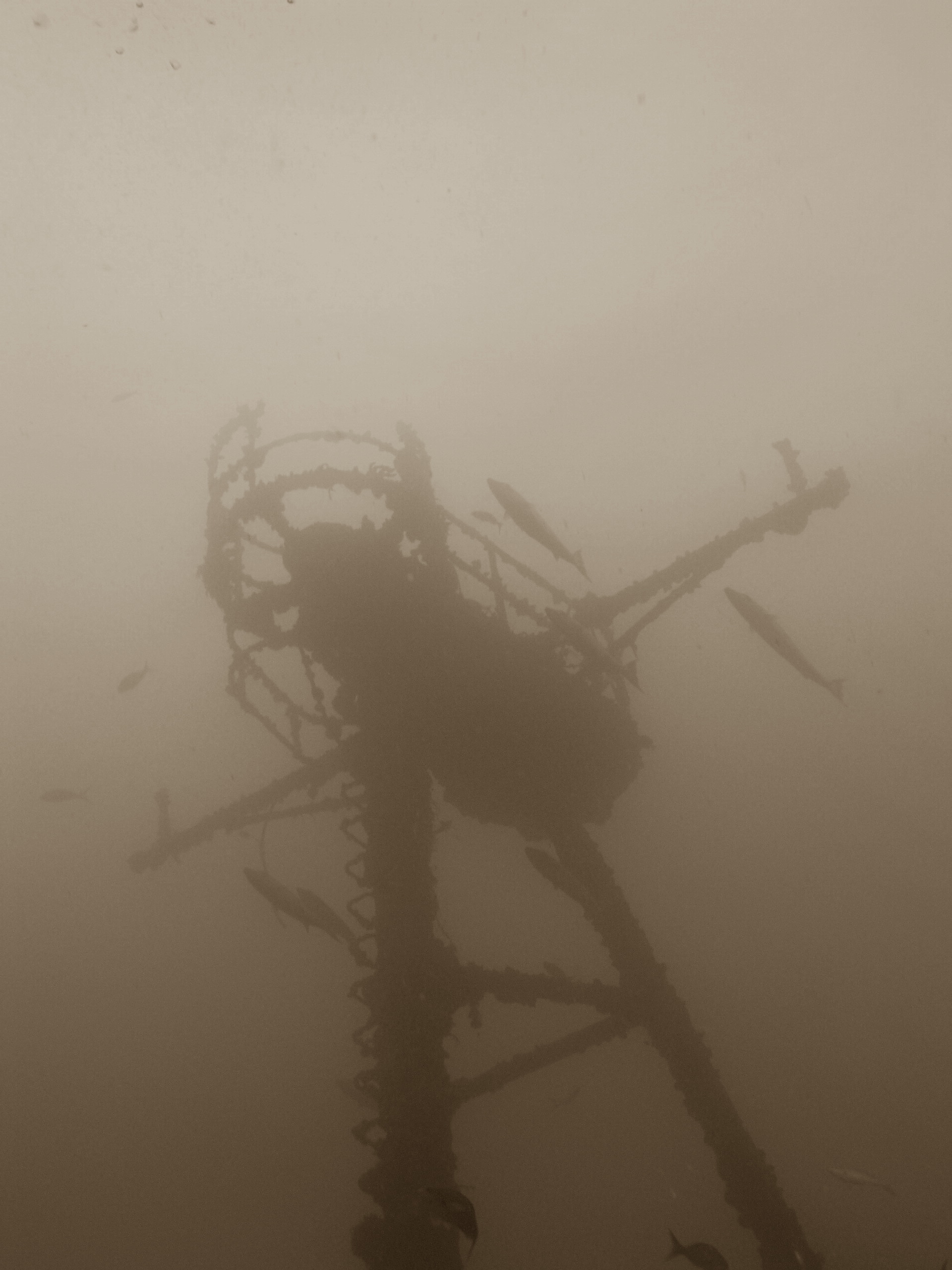 Spiegel Groovy 2005 reupload