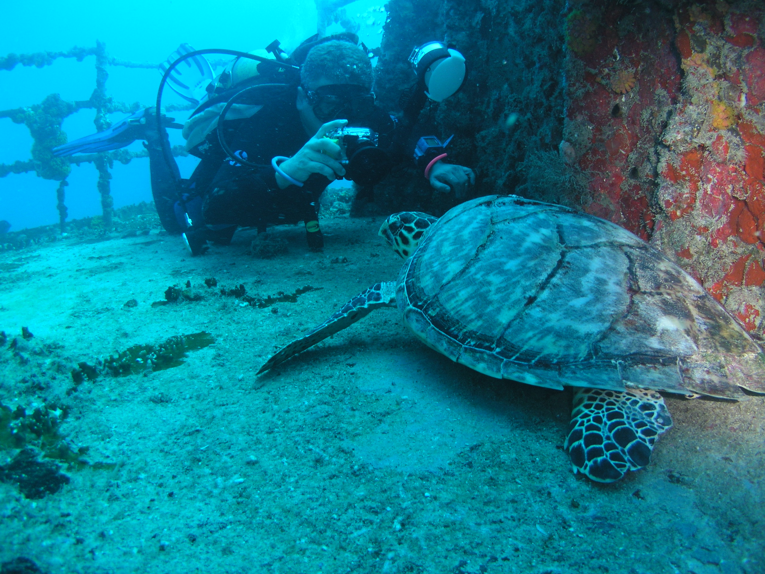 Spiegel Groovy 2005 reupload