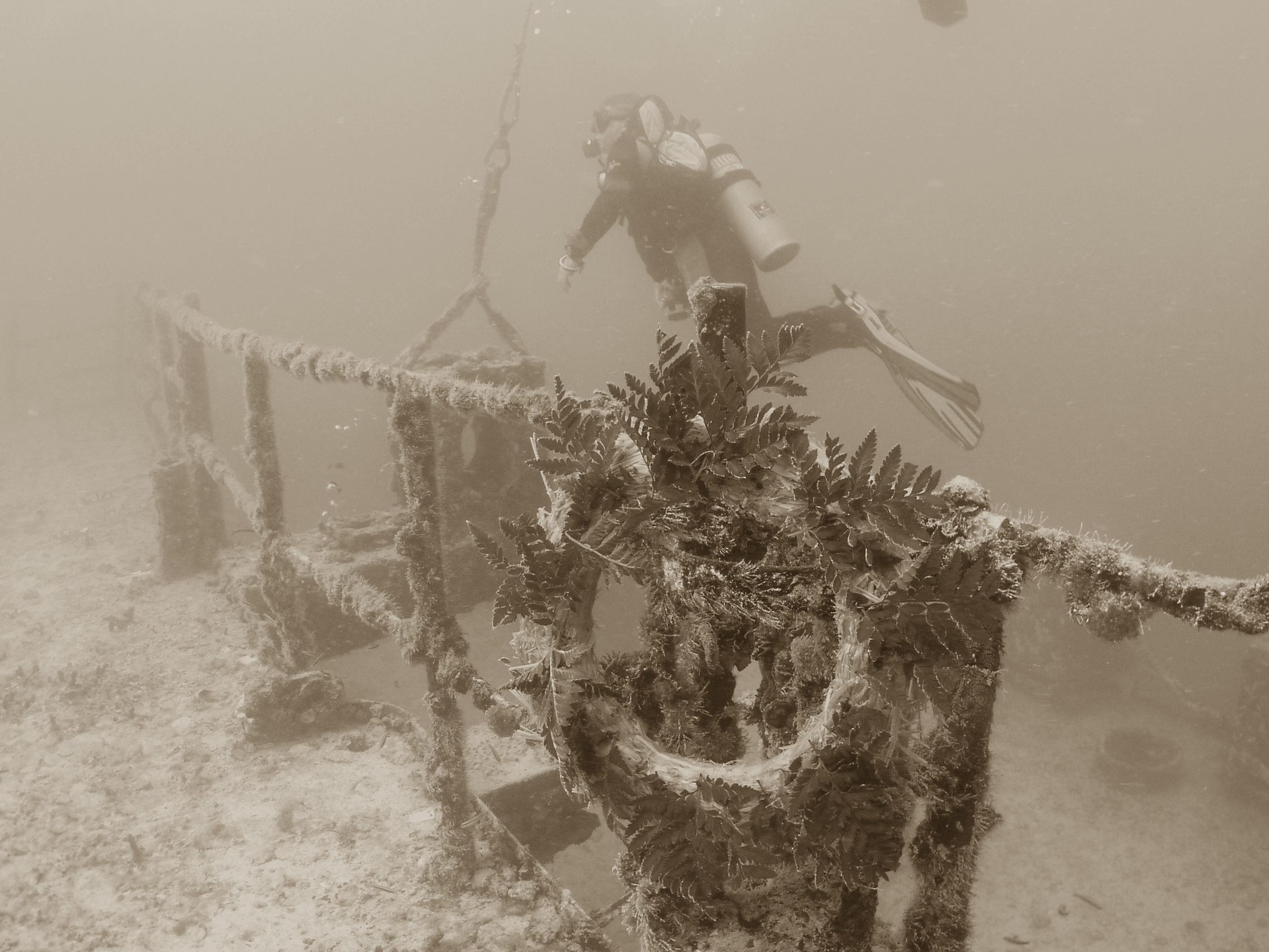 Spiegel Groovy 2005 reupload