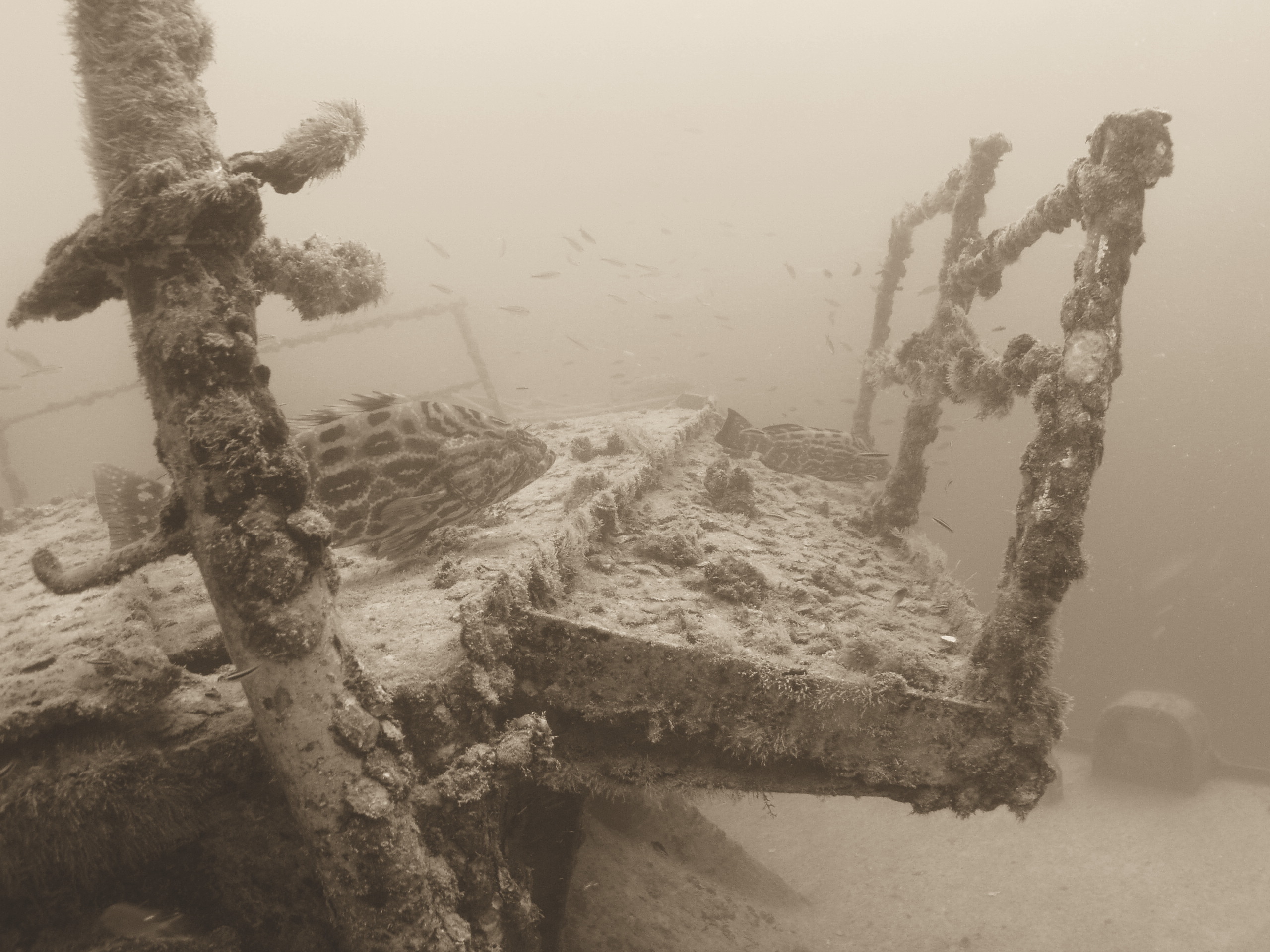 Spiegel Groovy 2005 reupload