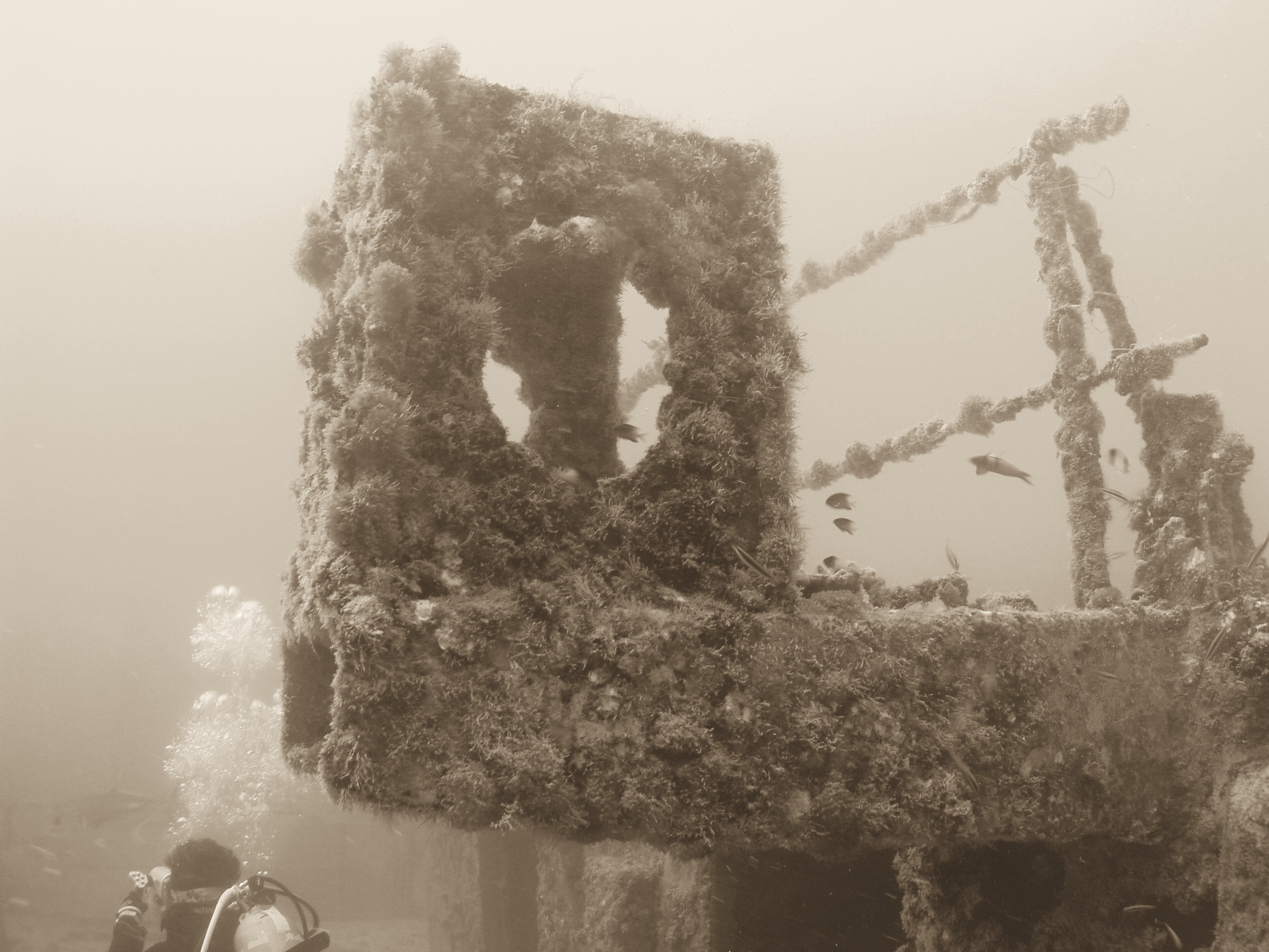 Spiegel Groovy 2005 reupload