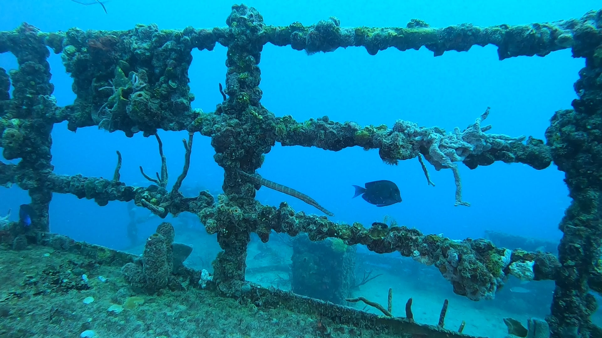 Spiegel Grove Railing