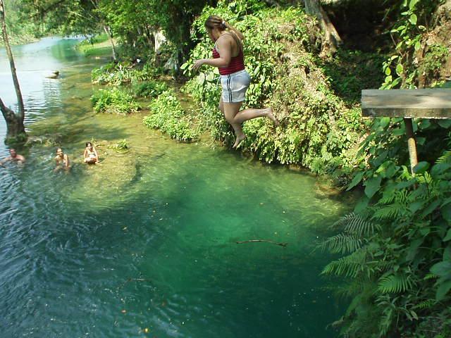 Spotfin Butterflyfish