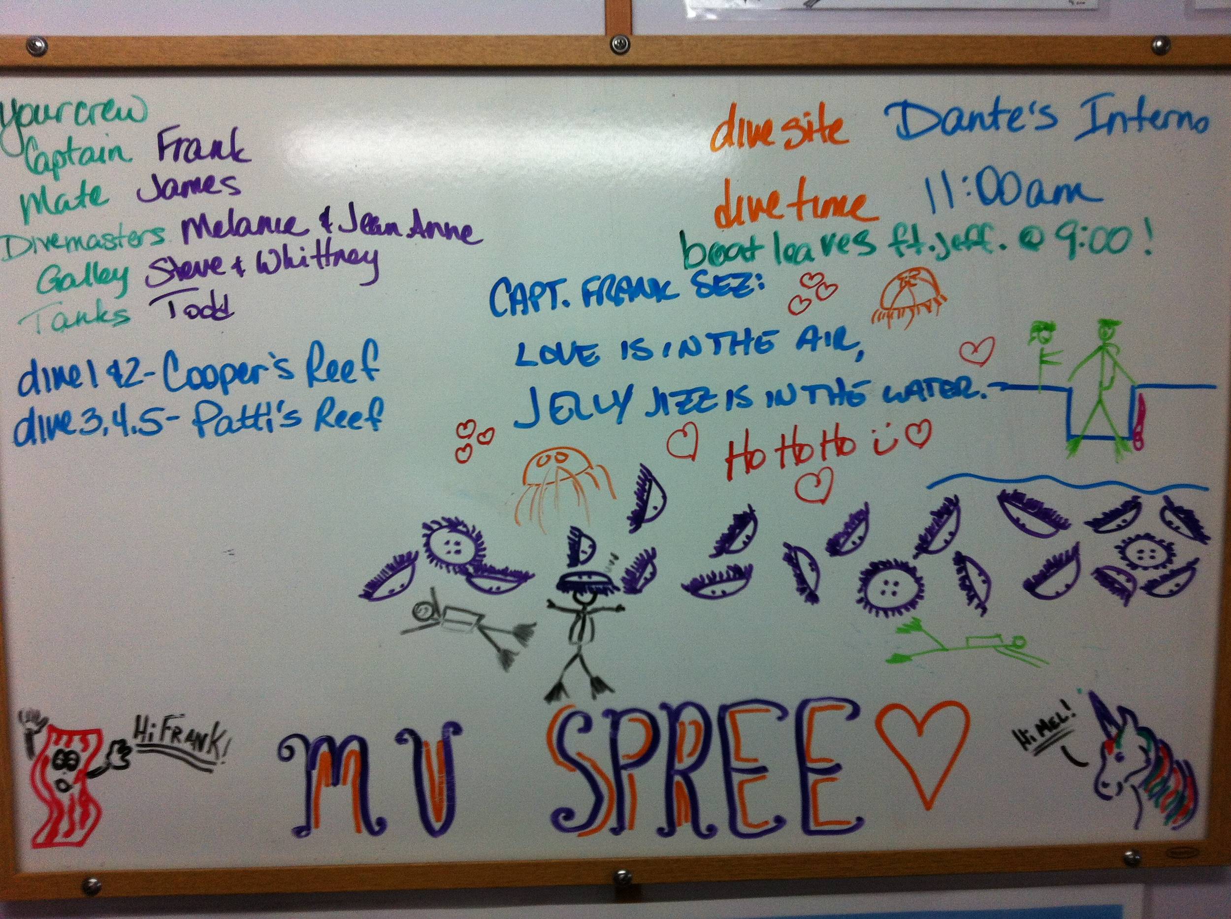 Spree board