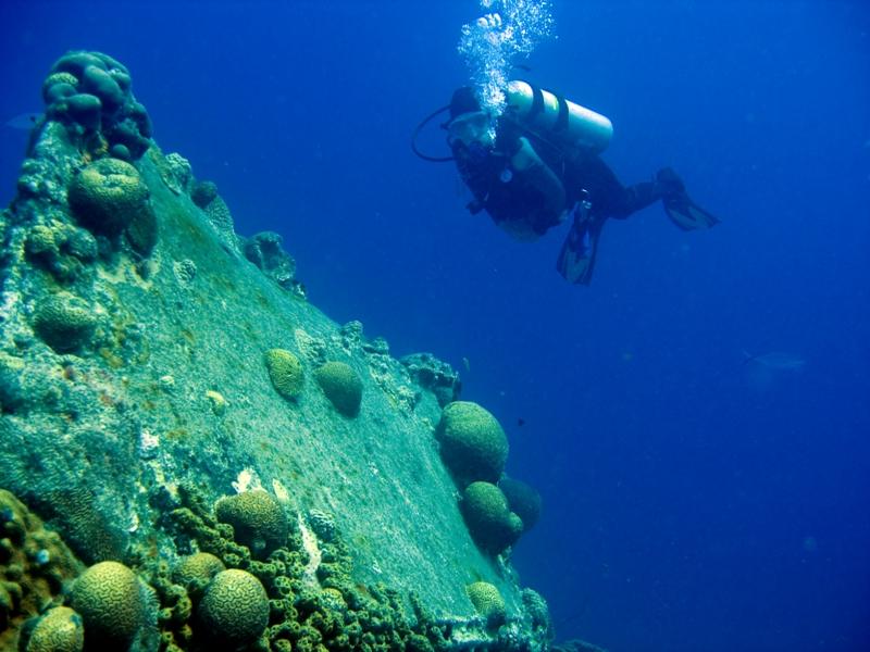 Sprout on La Machaca