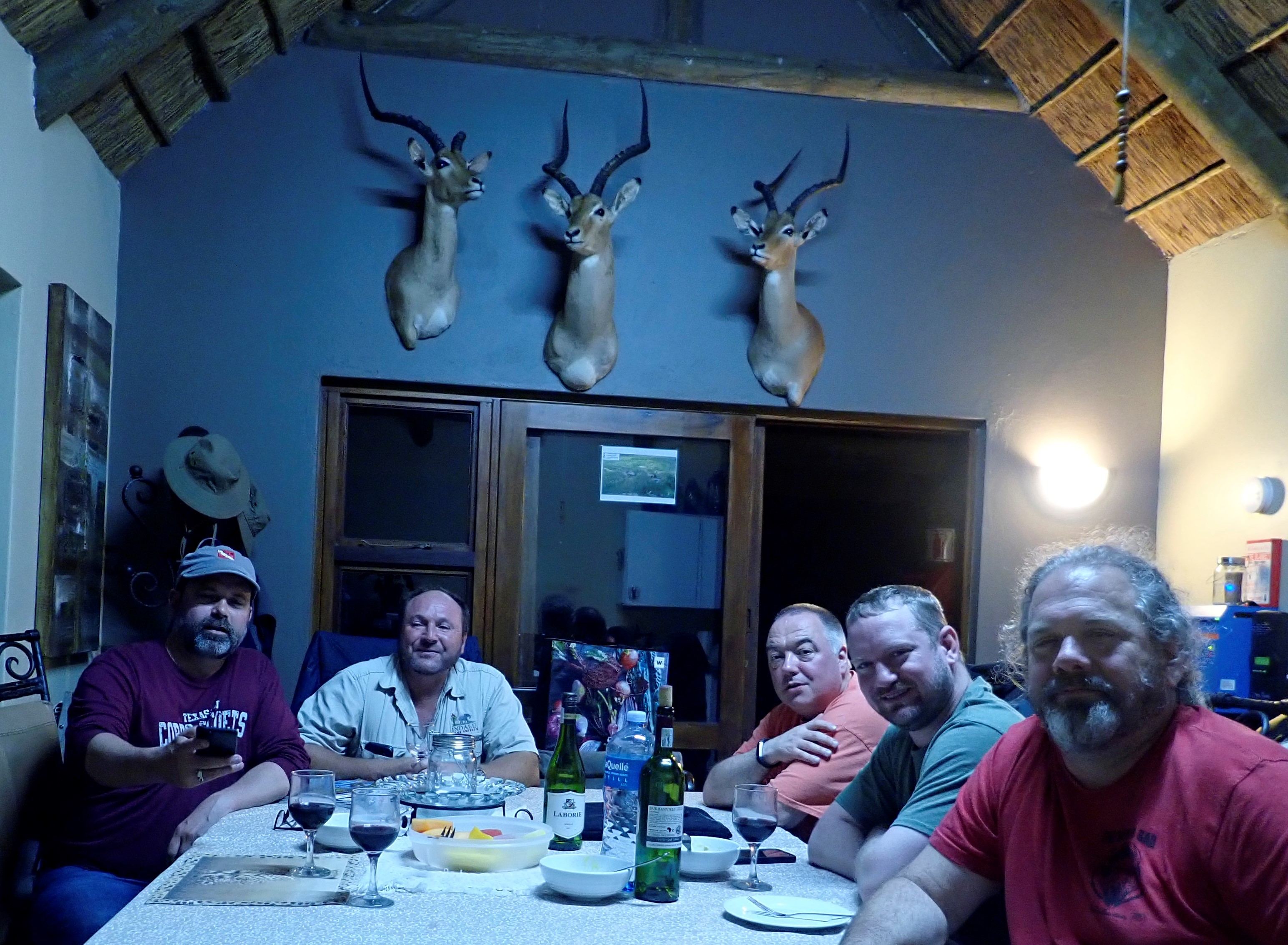 Stag's Head, Africa edition