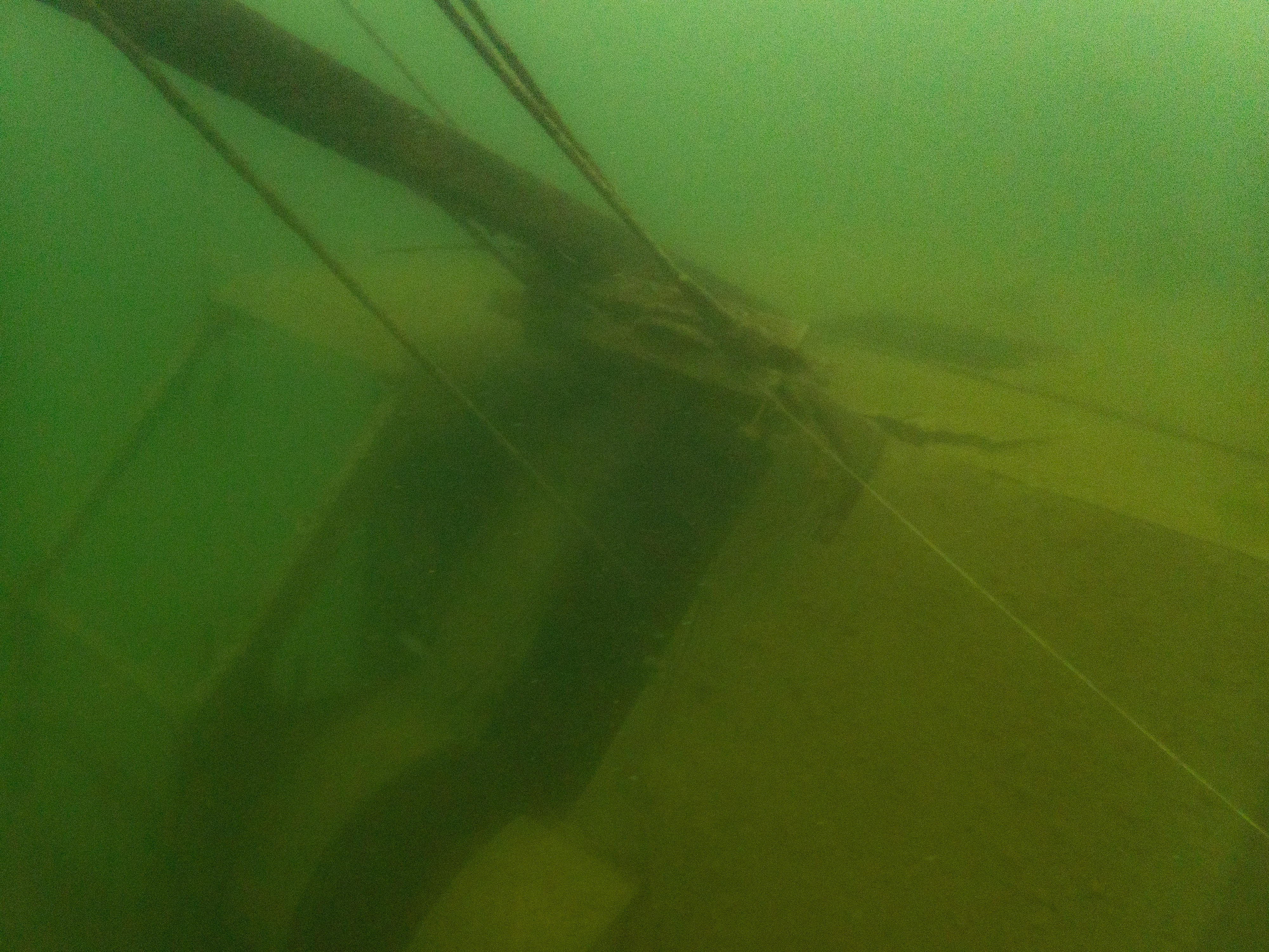 Steam shovel kraken springs GA