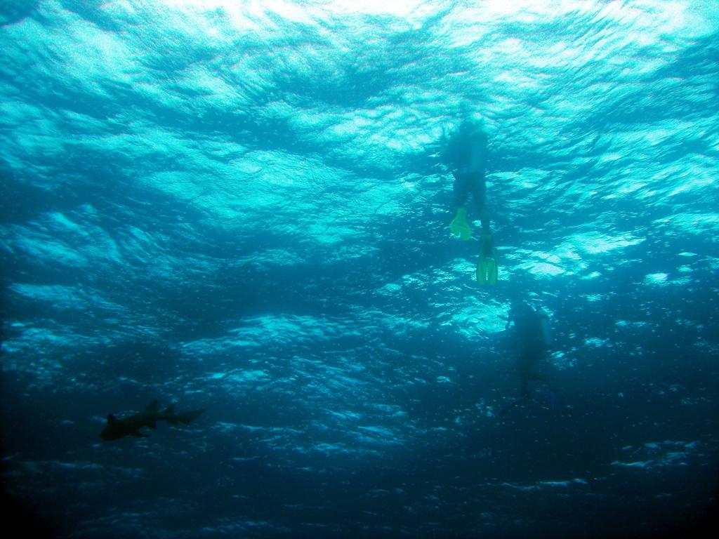 StormySeaFromUnderwater