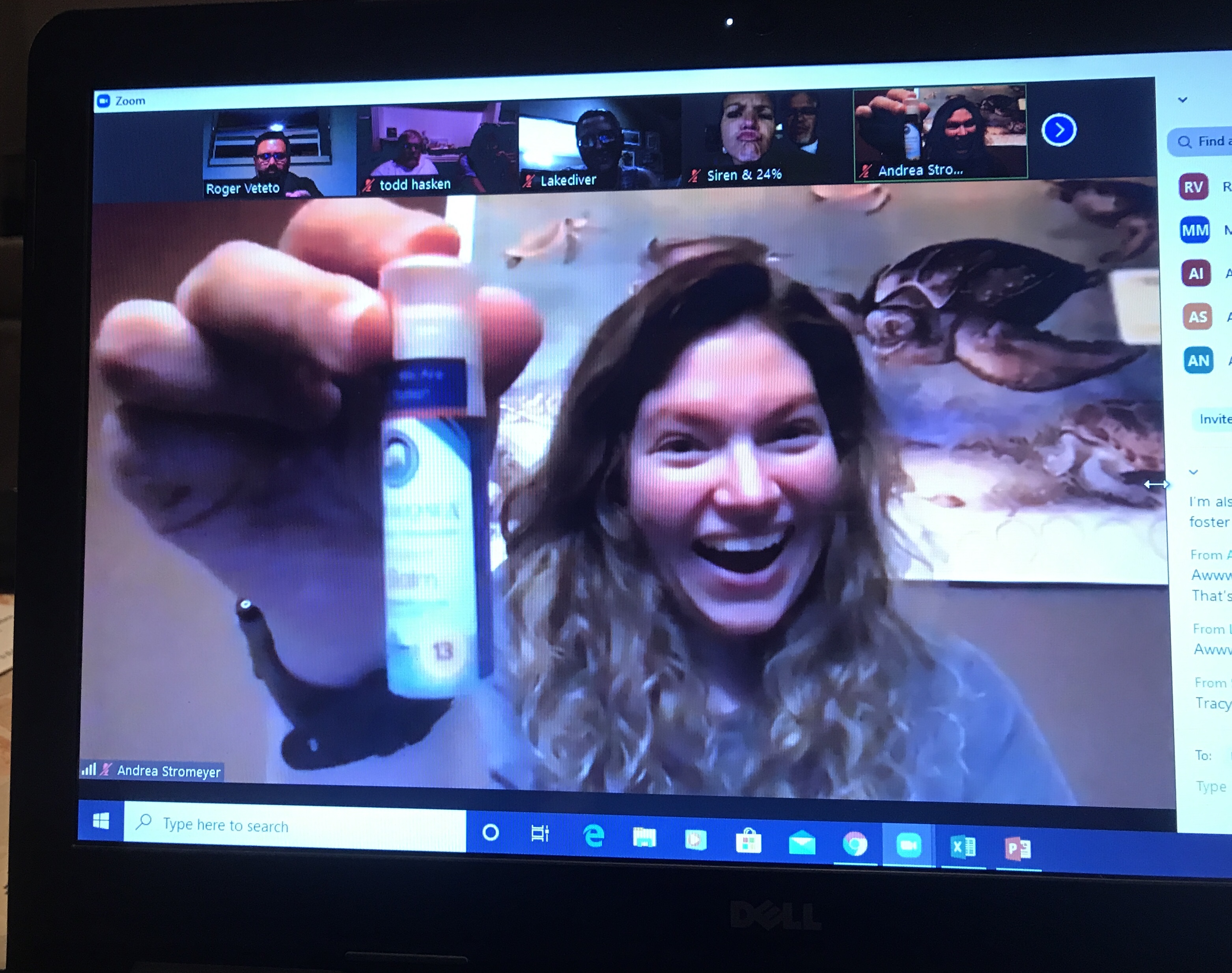 Stream2Sea, the good stuff