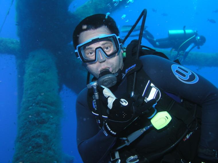 studfish