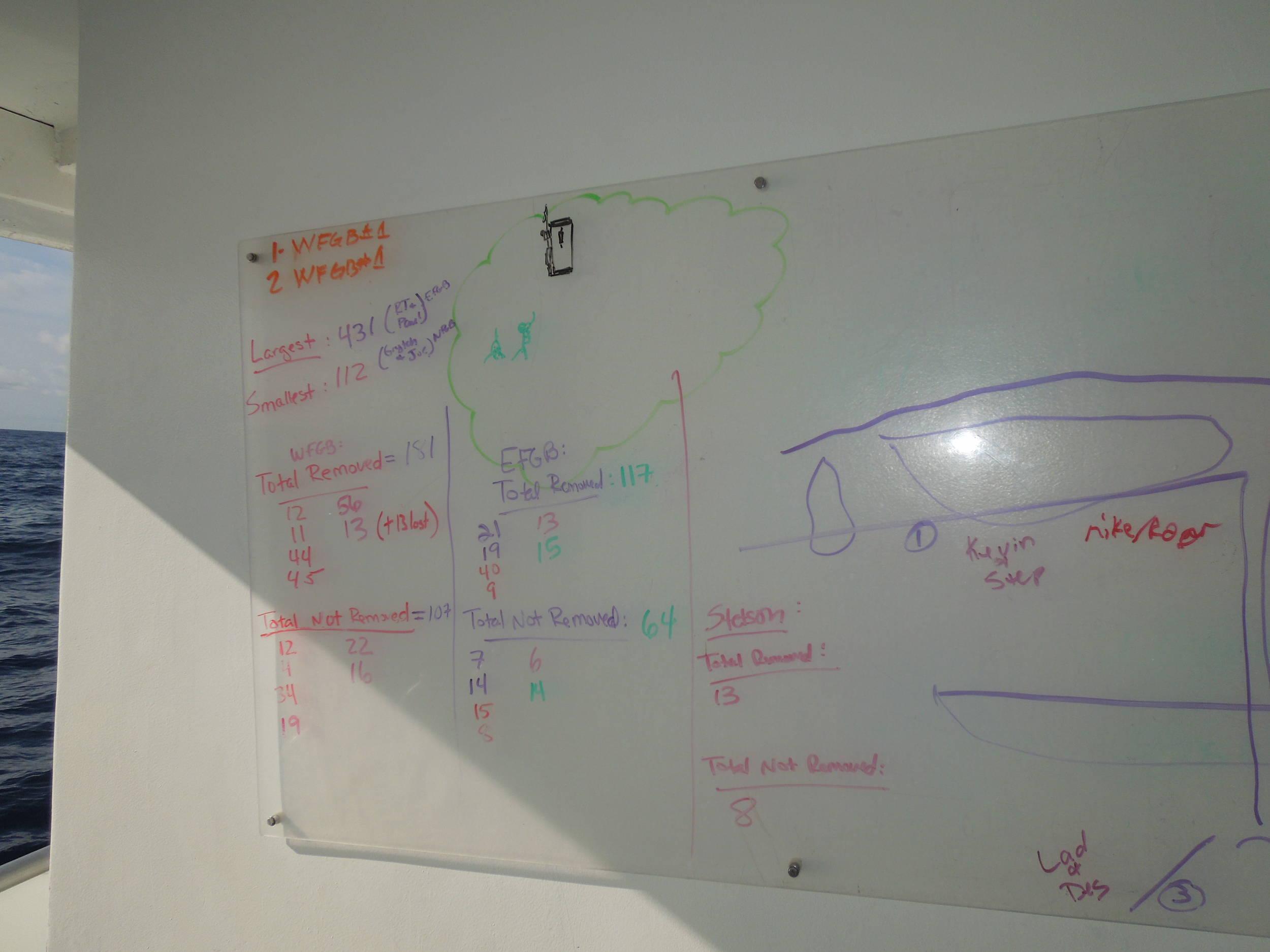 summary on the deck board