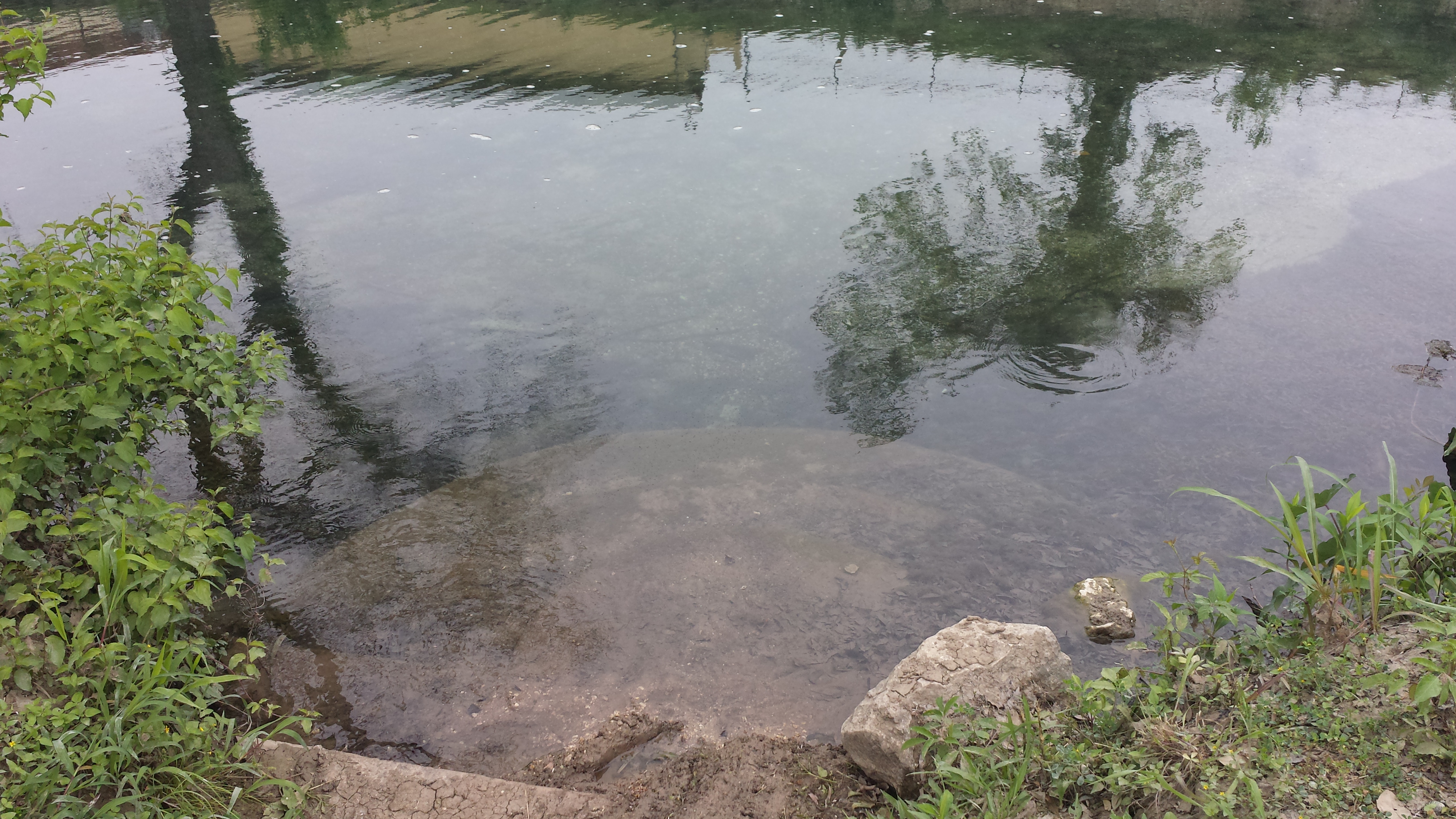 Sunday Morning Comal 03