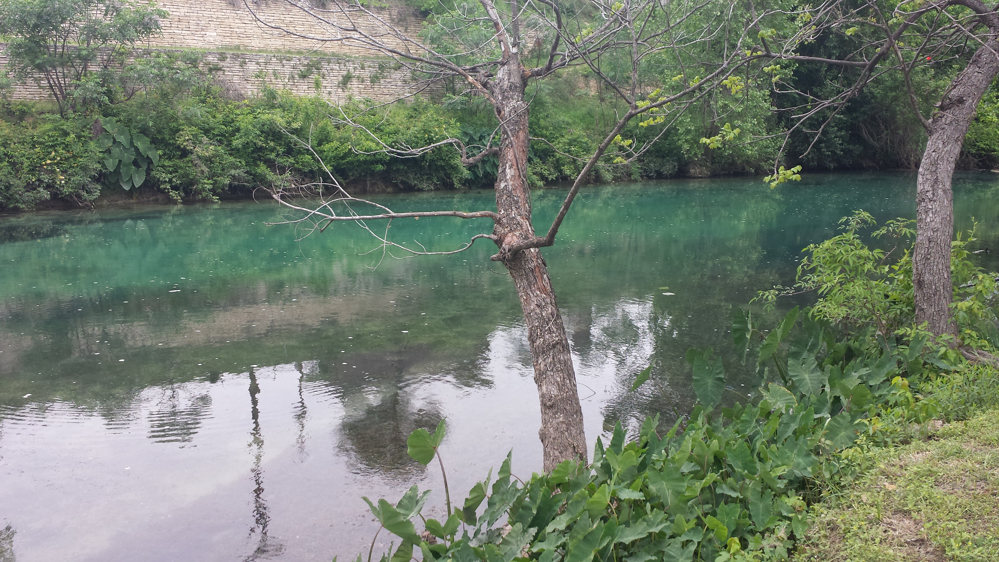 Sunday Morning Comal 04