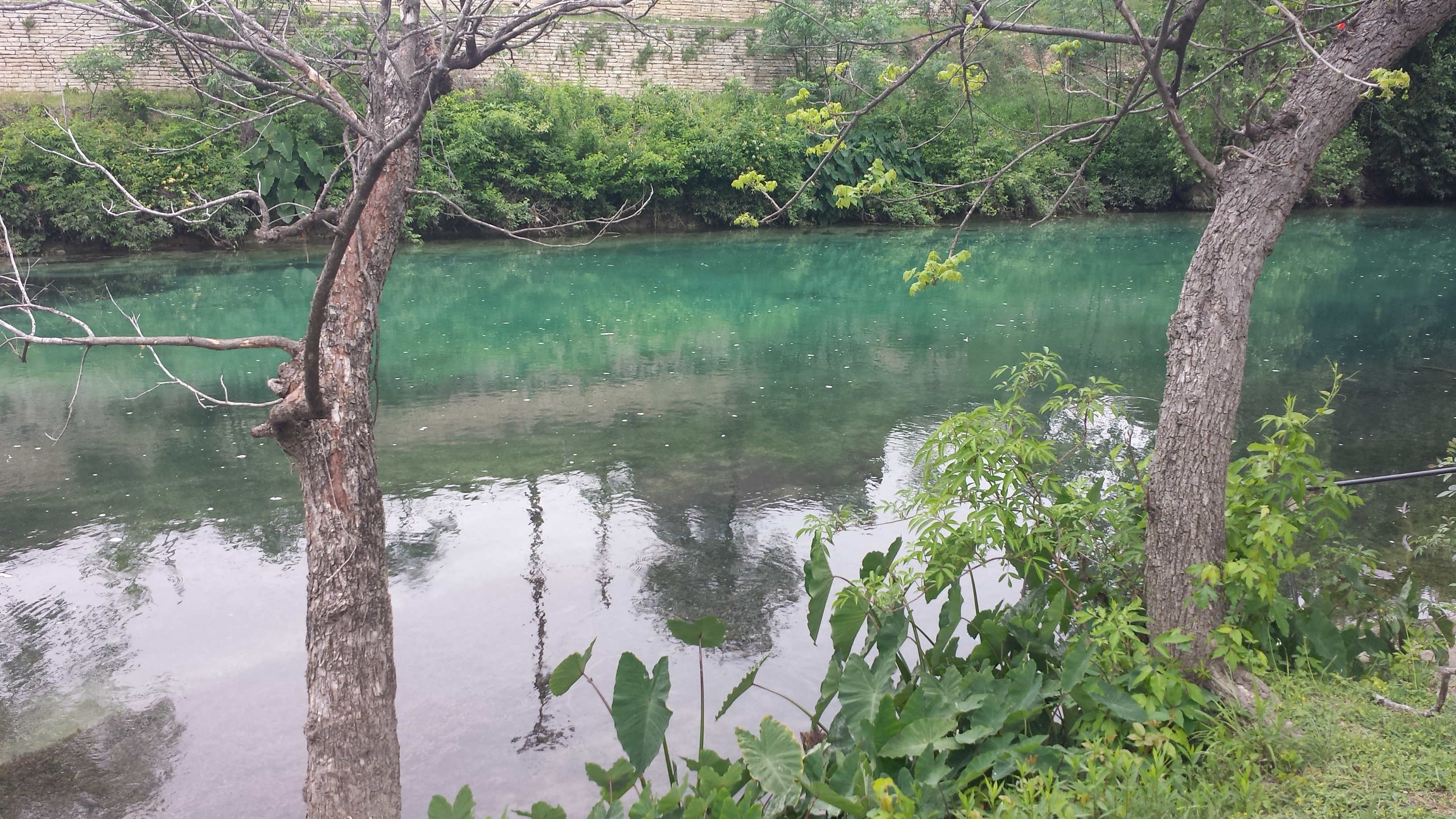 Sunday Morning Comal 05