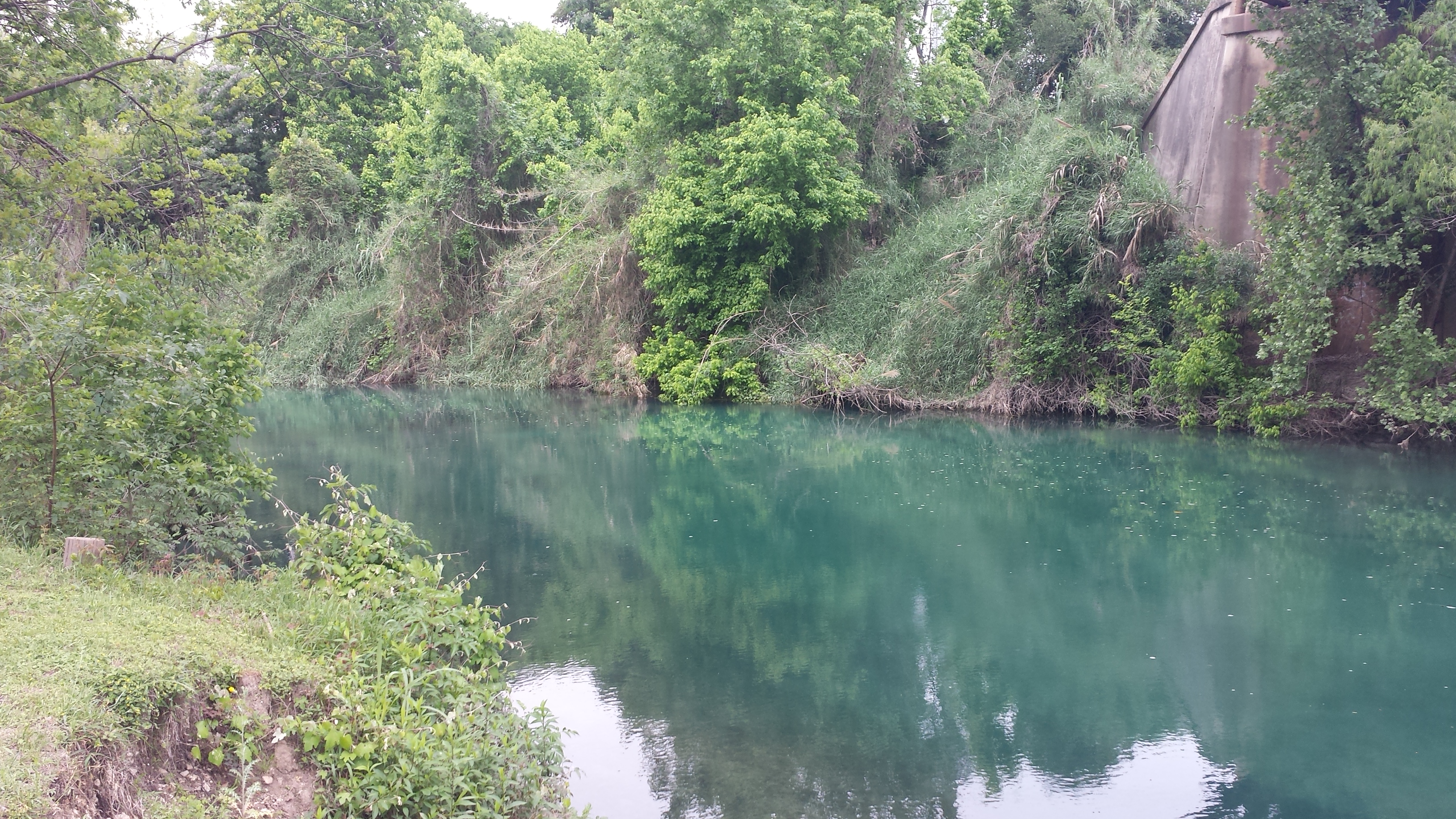 Sunday Morning Comal 06